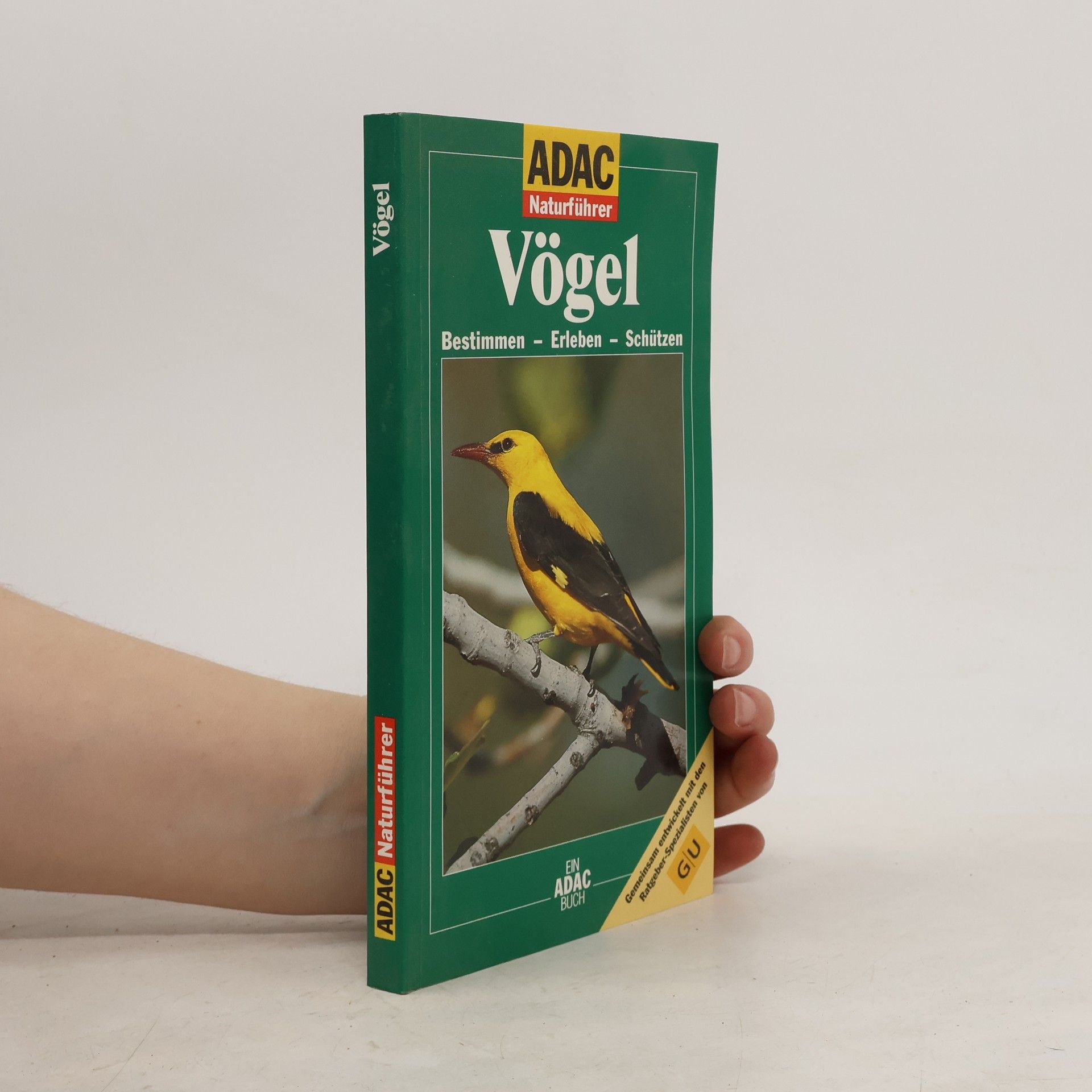 Vögel
