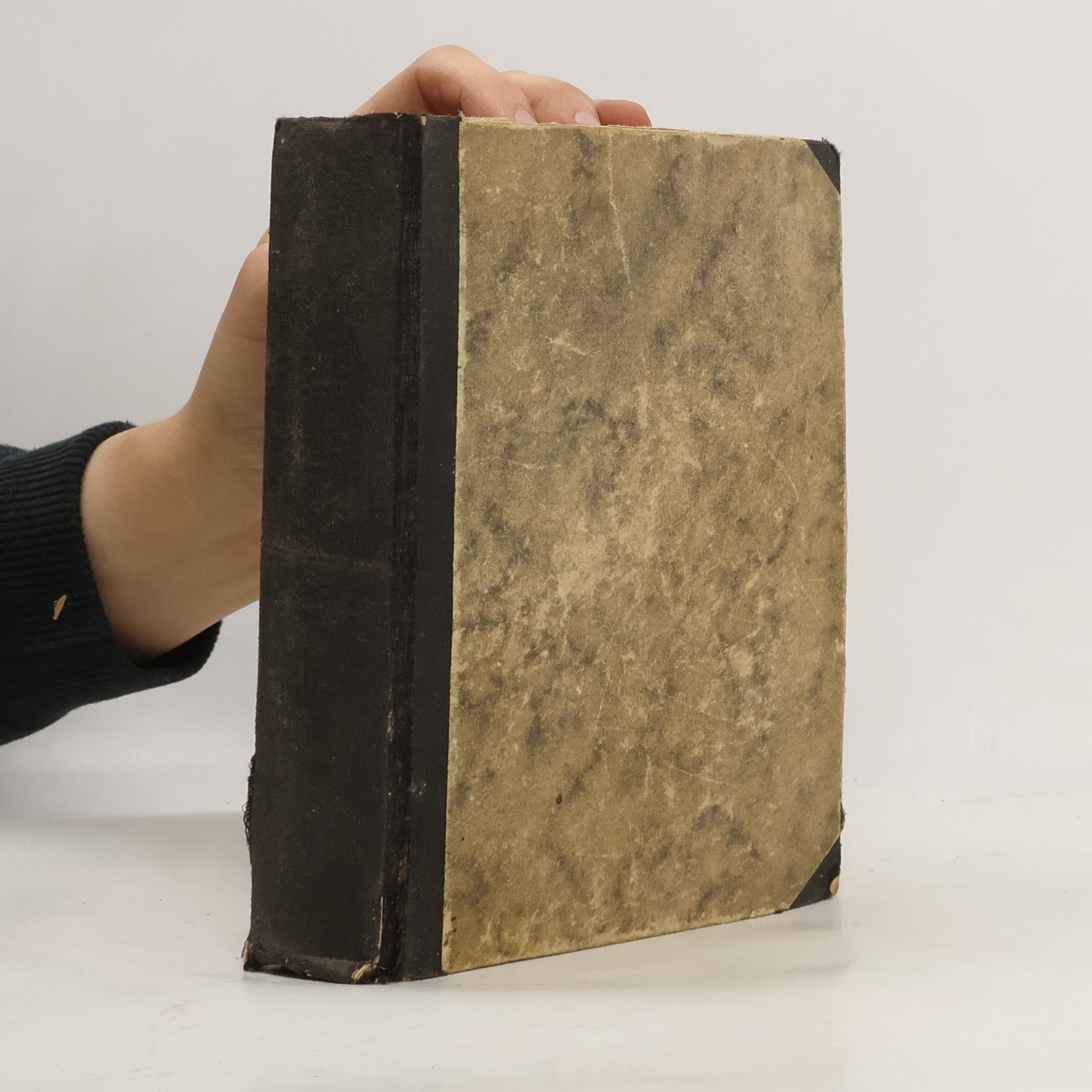 Marie Sophie Schwartz Šlechtic a žena z lidu