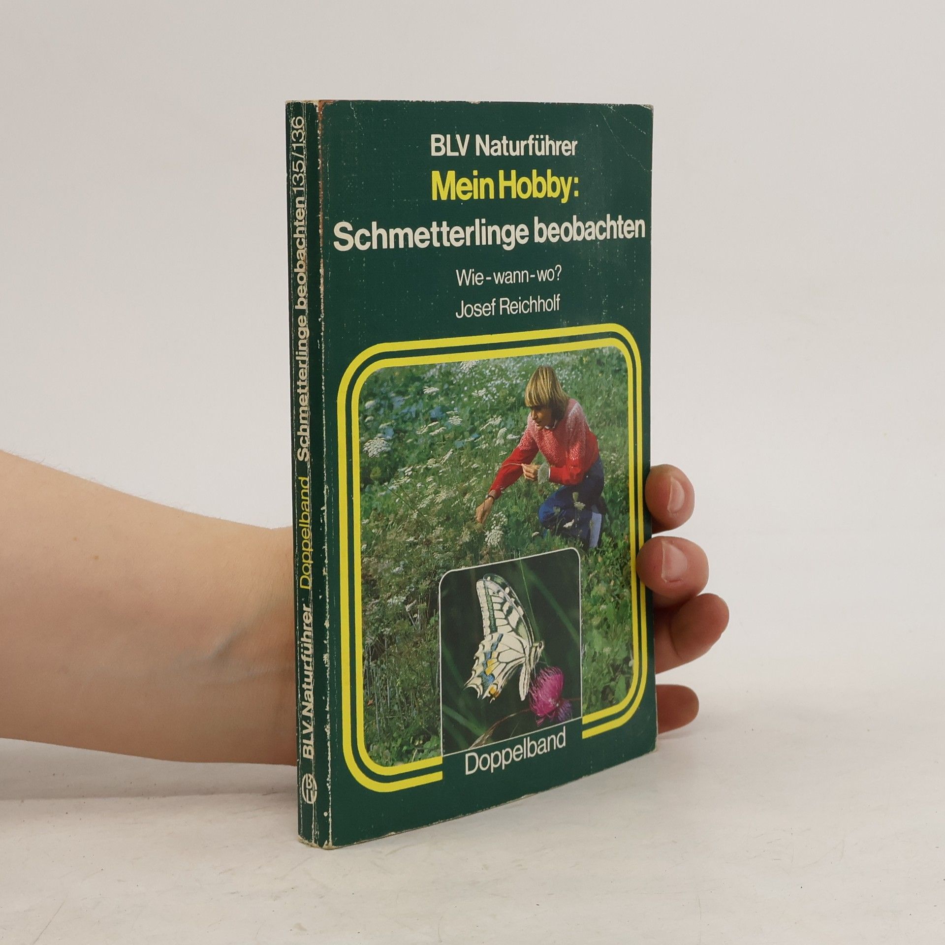 Josef H. Reichholf Mein Hobby: Schmetterlinge beobachten