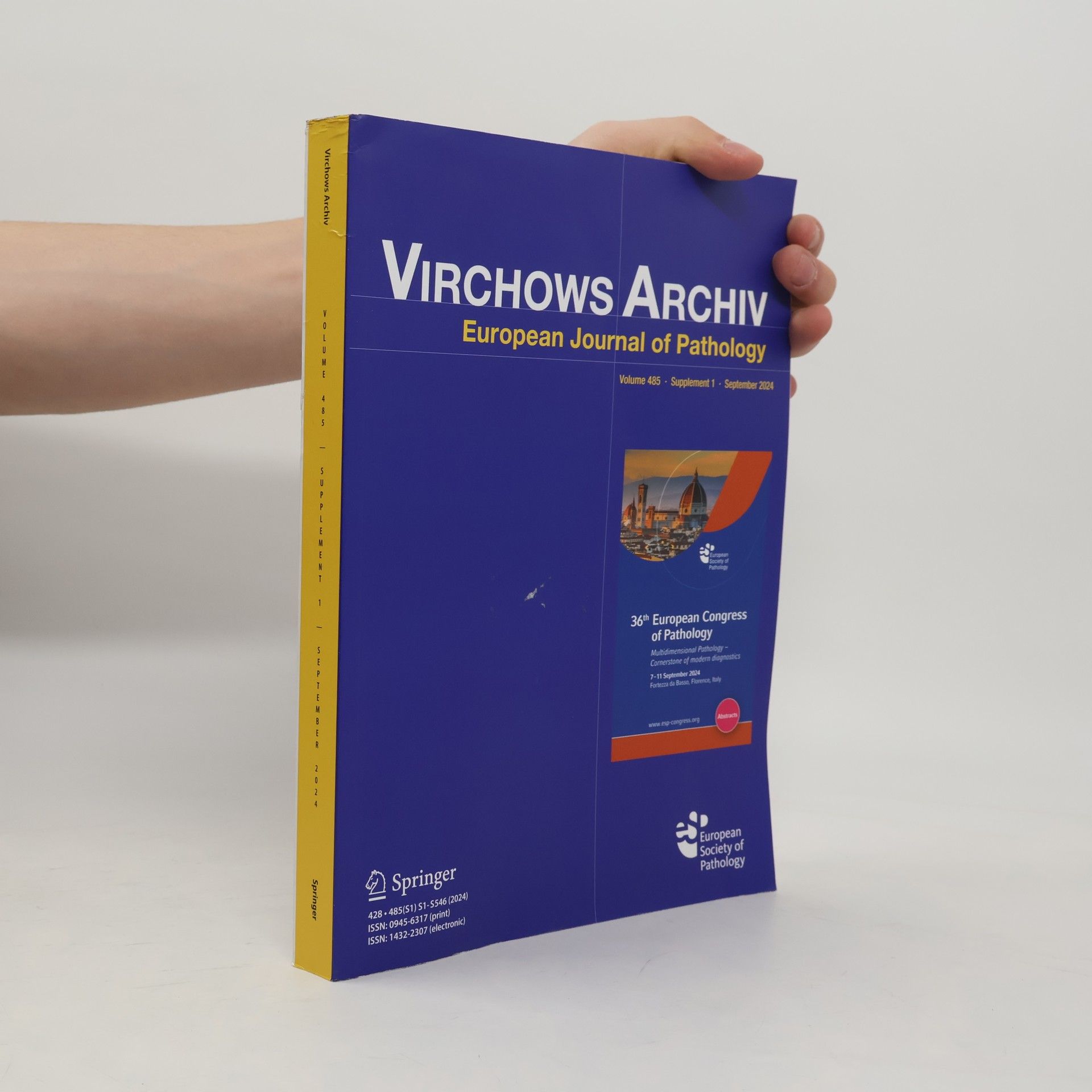 AA.VV. Virchows Archiv