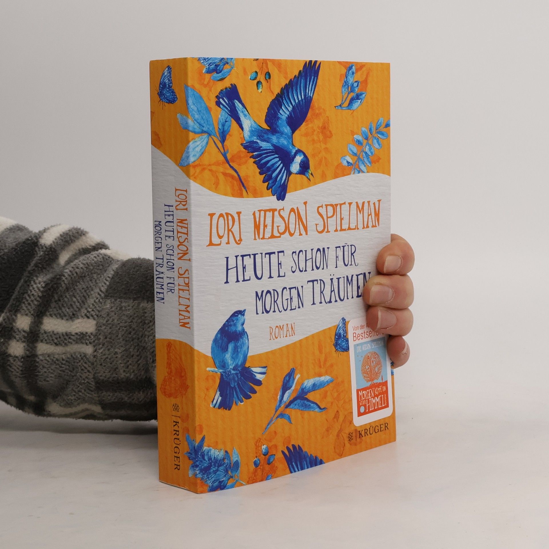 Lori Nelson Spielman Heute schon für morgen träumen