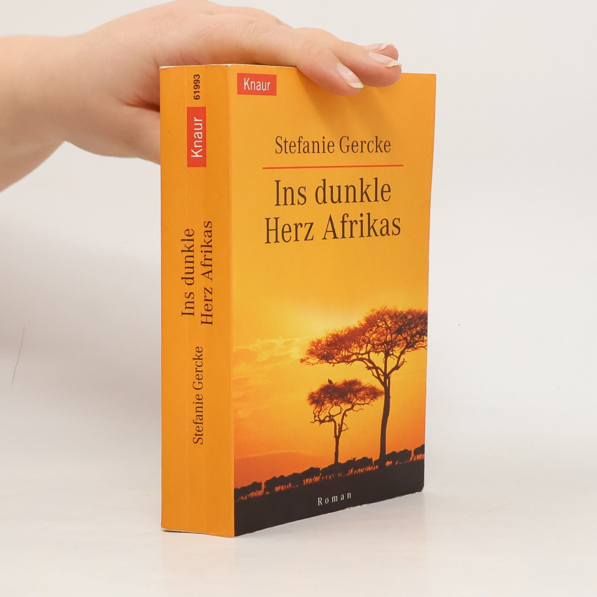 Stefanie Gercke Ins dunkle Herz Afrikas