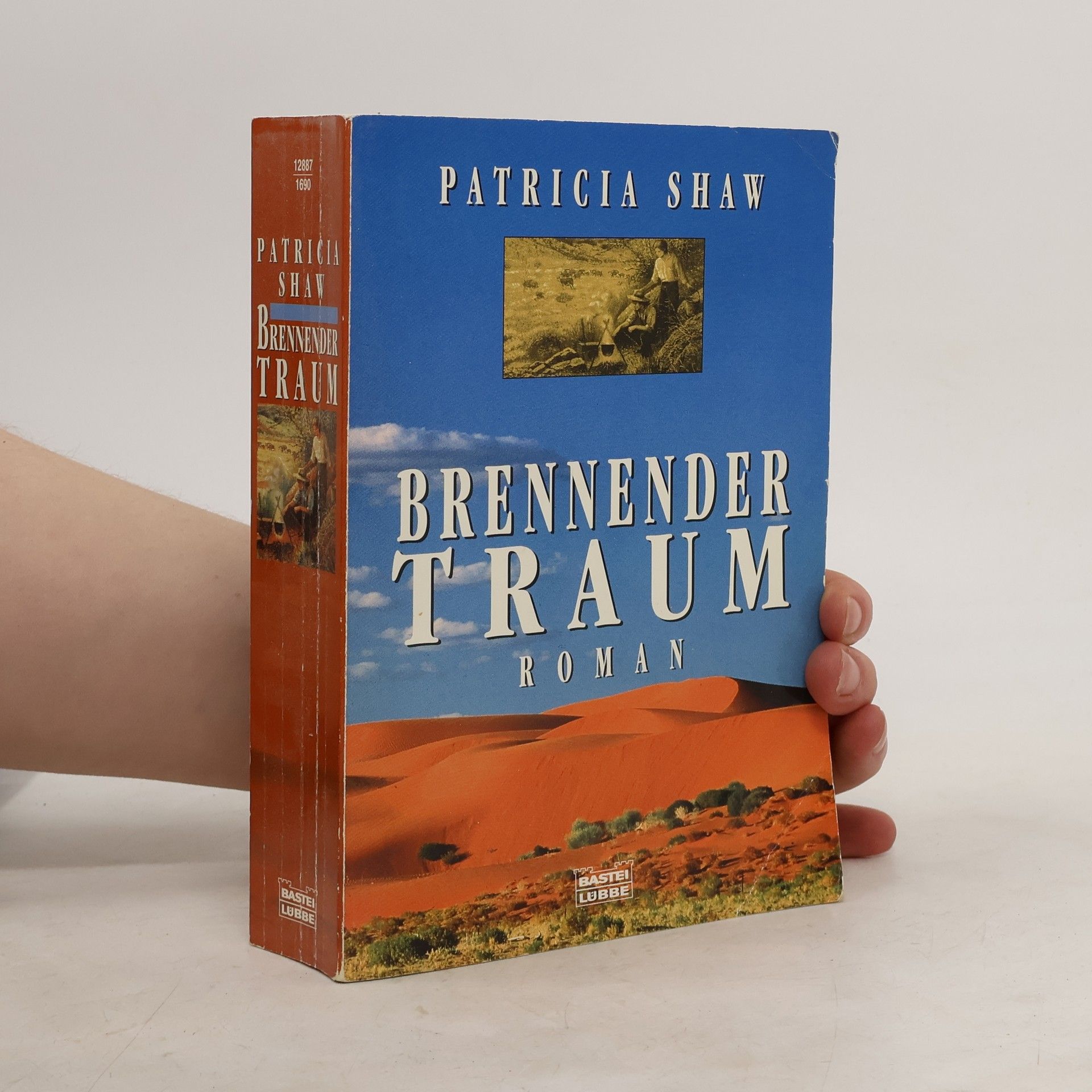 Patricia Shaw Brennender Traum