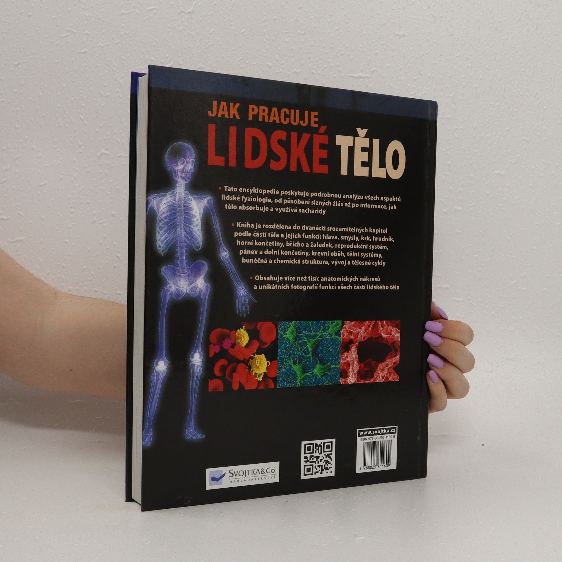 Abrahams Peter Jak pracuje lidské tělo