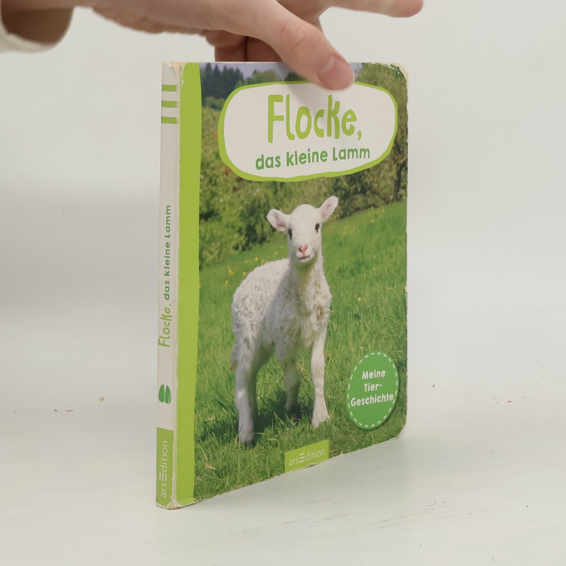 Flocke, das kleine Lamm