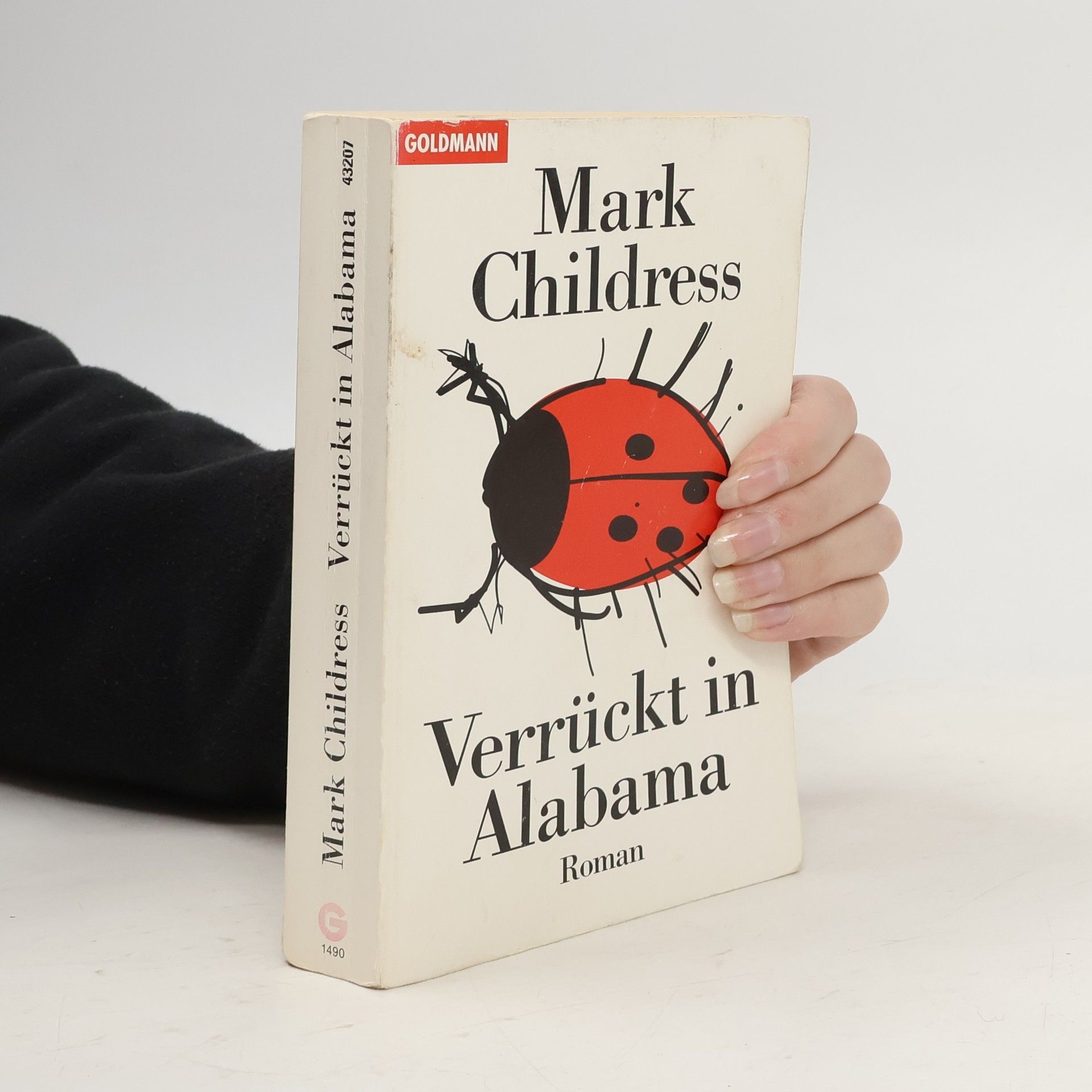 Mark Childress Verrückt in Alabama
