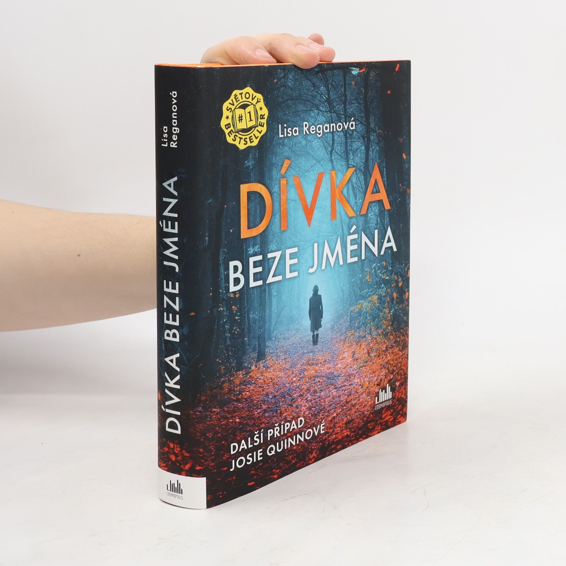 Lisa Regan Dívka beze jména: Další případ Josie Quinnové