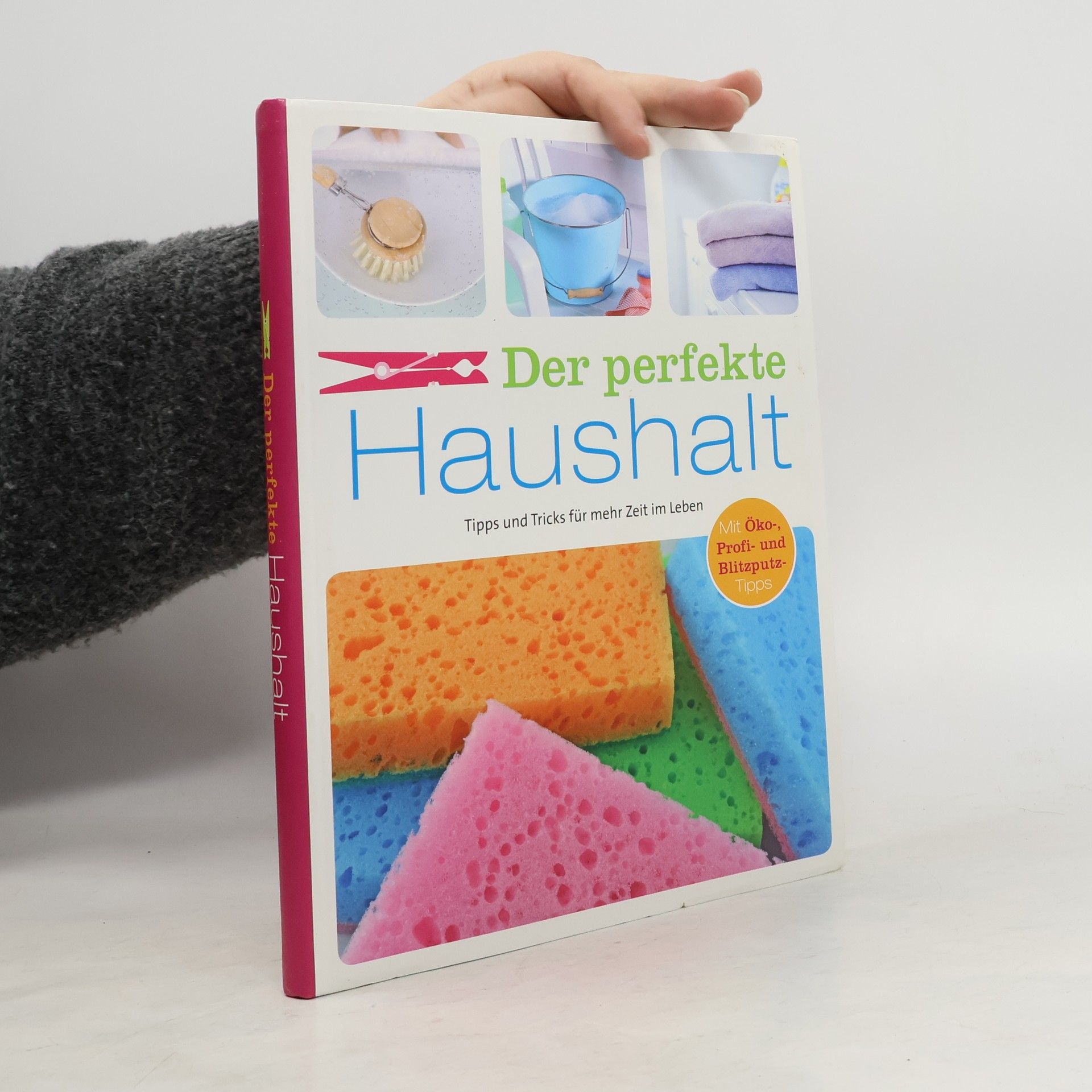 Ulrike Lowis Der perfekte Haushalt