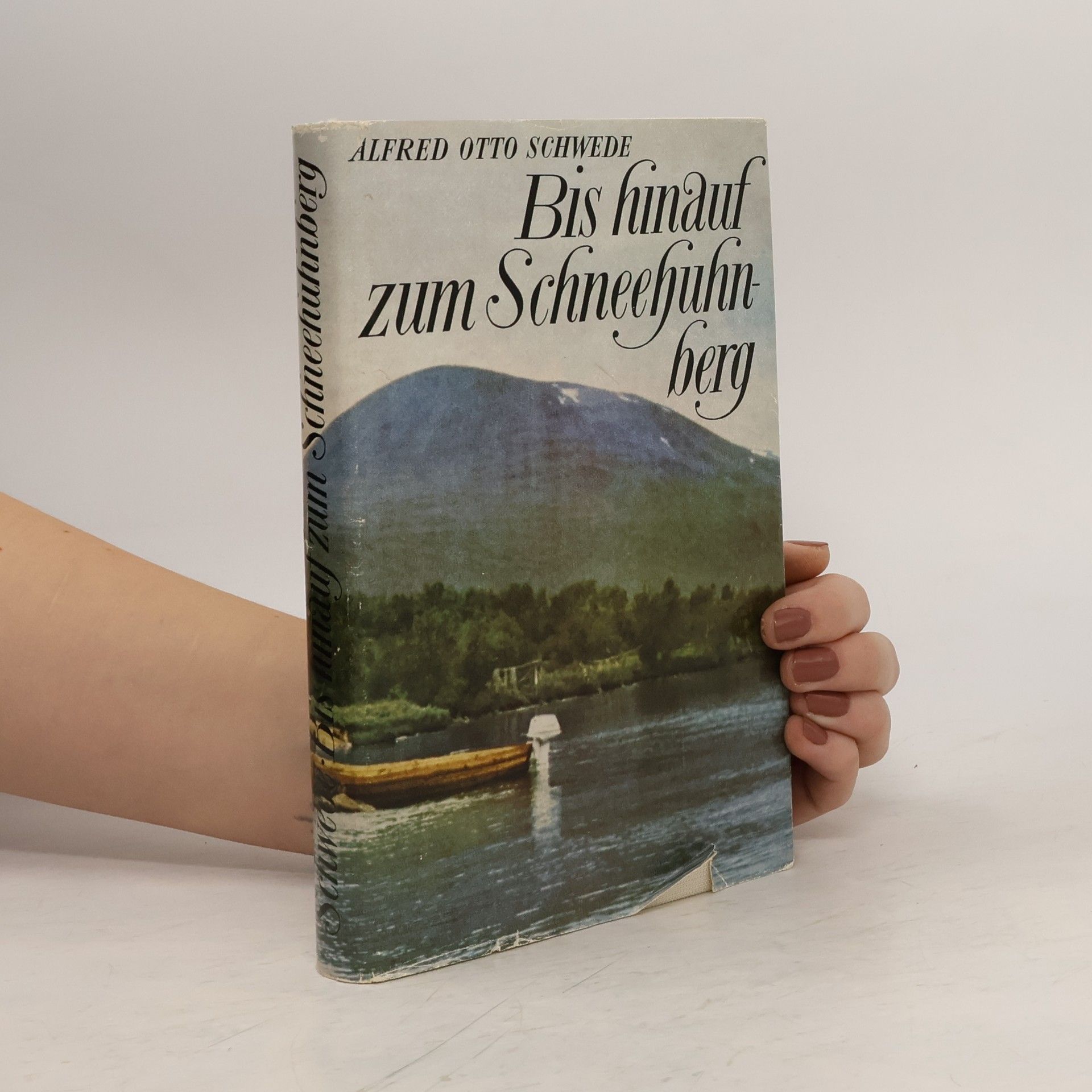 Alfred Otto Schwede Bis hinauf zum Schneehuhnberg