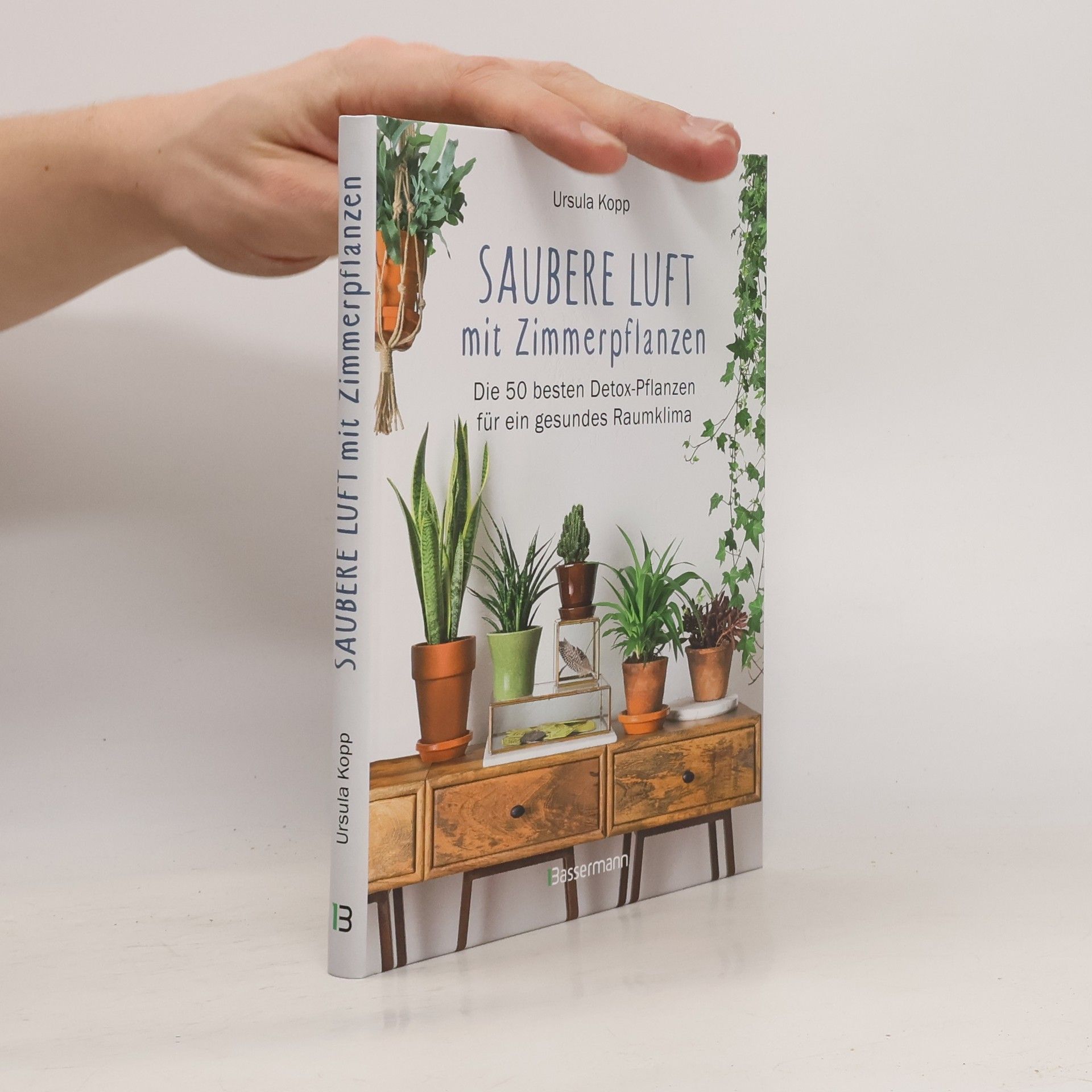 Ursula Kopp Saubere Luft mit Zimmerpflanzen