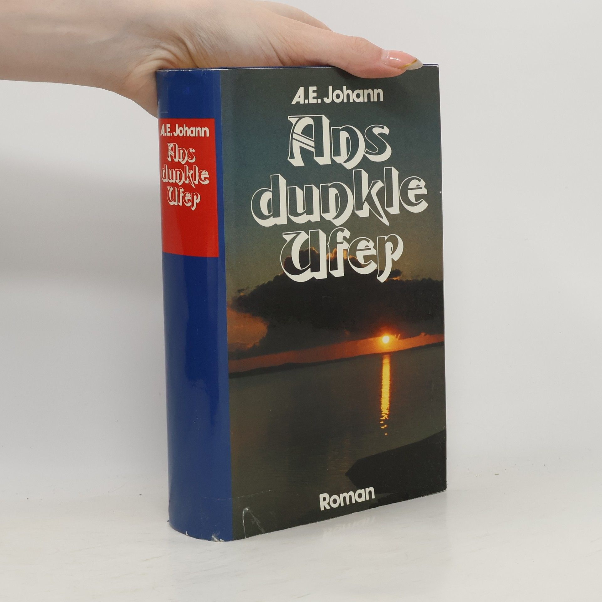 Alfred E. Johann Ans dunkle Ufer