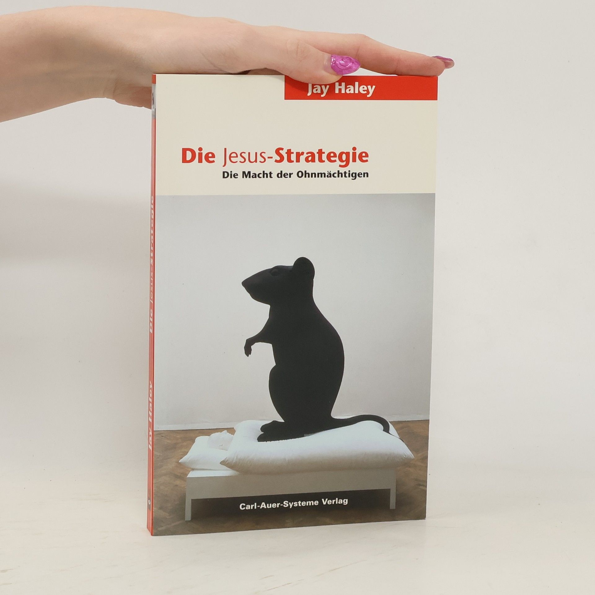 Jay Haley Die Jesus-Strategie