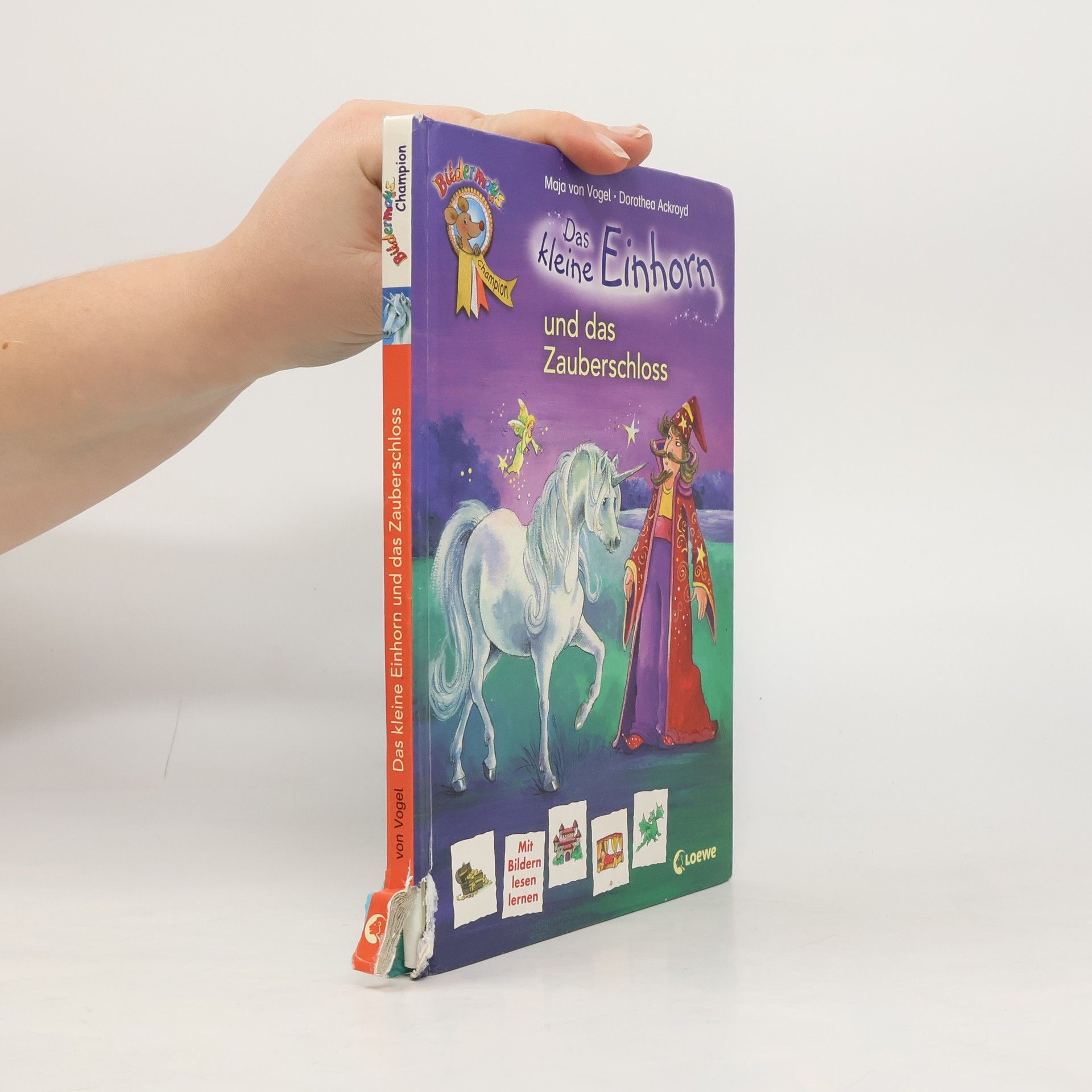 Maja von Vogel Das kleine Einhorn und das Zauberschloss