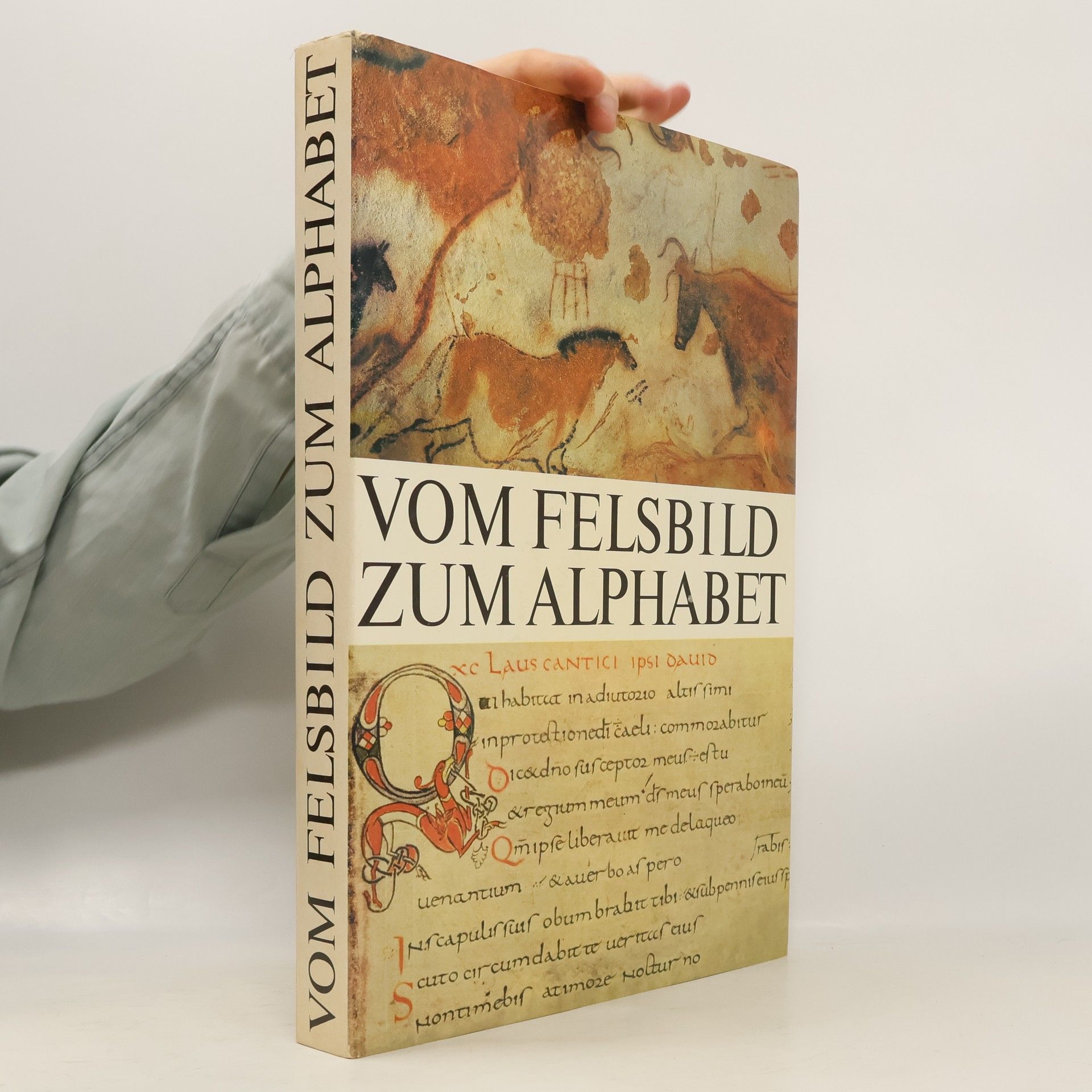 Vom Felsbild zum Alphabet