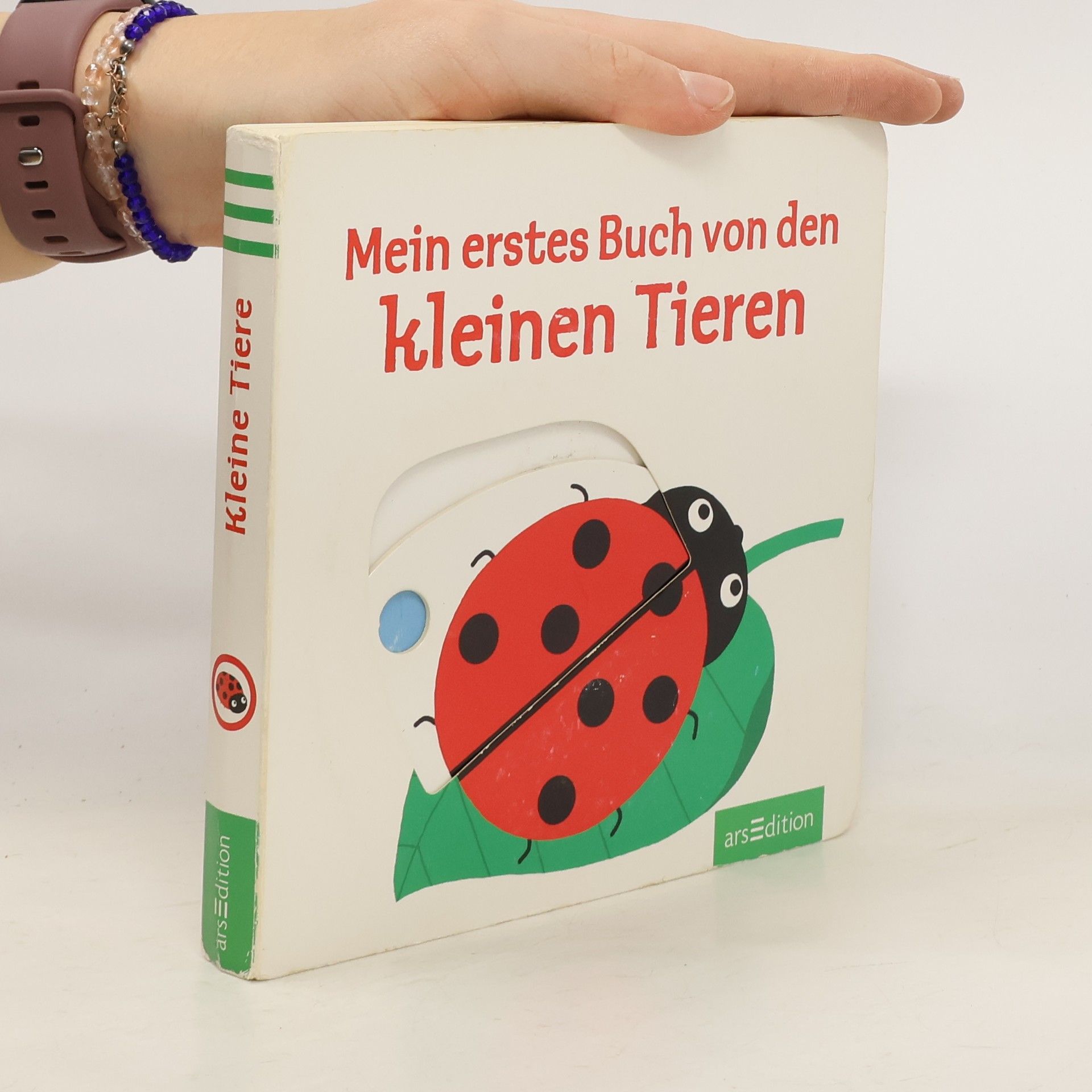 AA.VV. Mein erstes Buch von den kleinen Tieren
