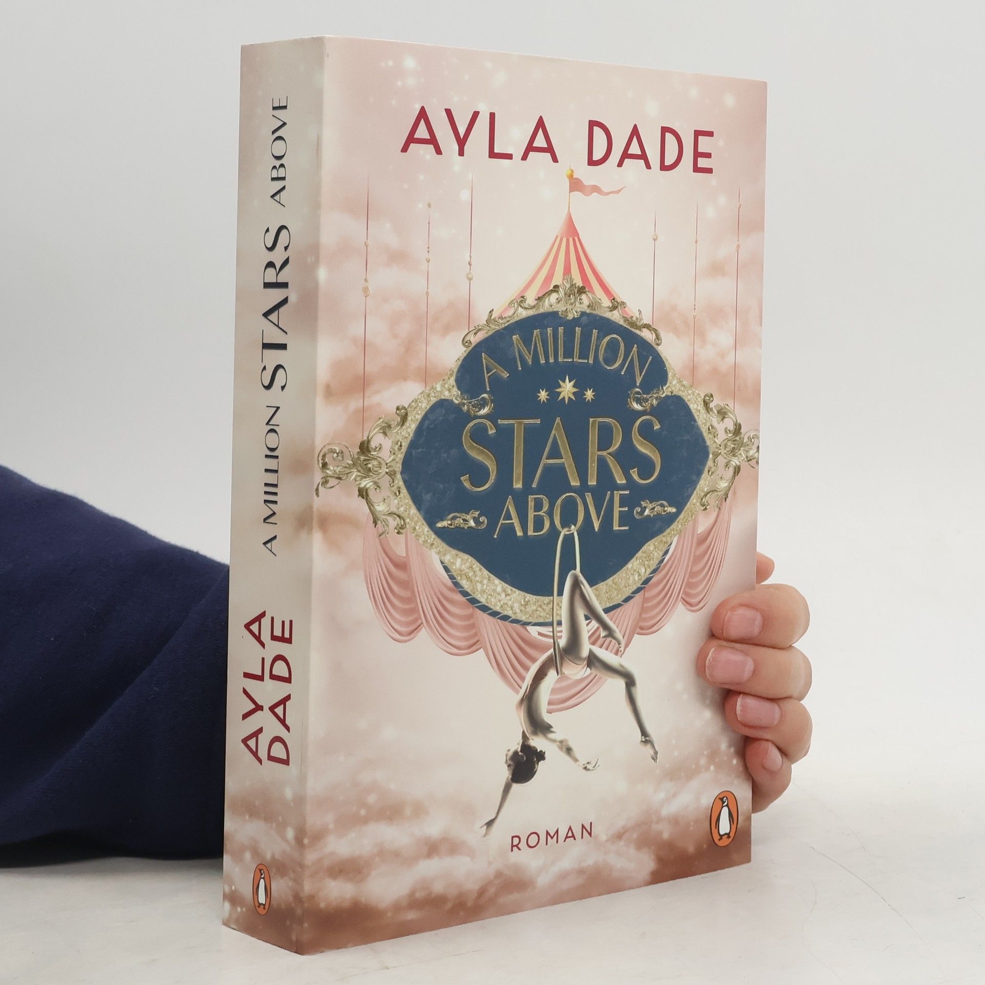 Ayla Dade A Million Stars Above / Sky Circus Bd.1