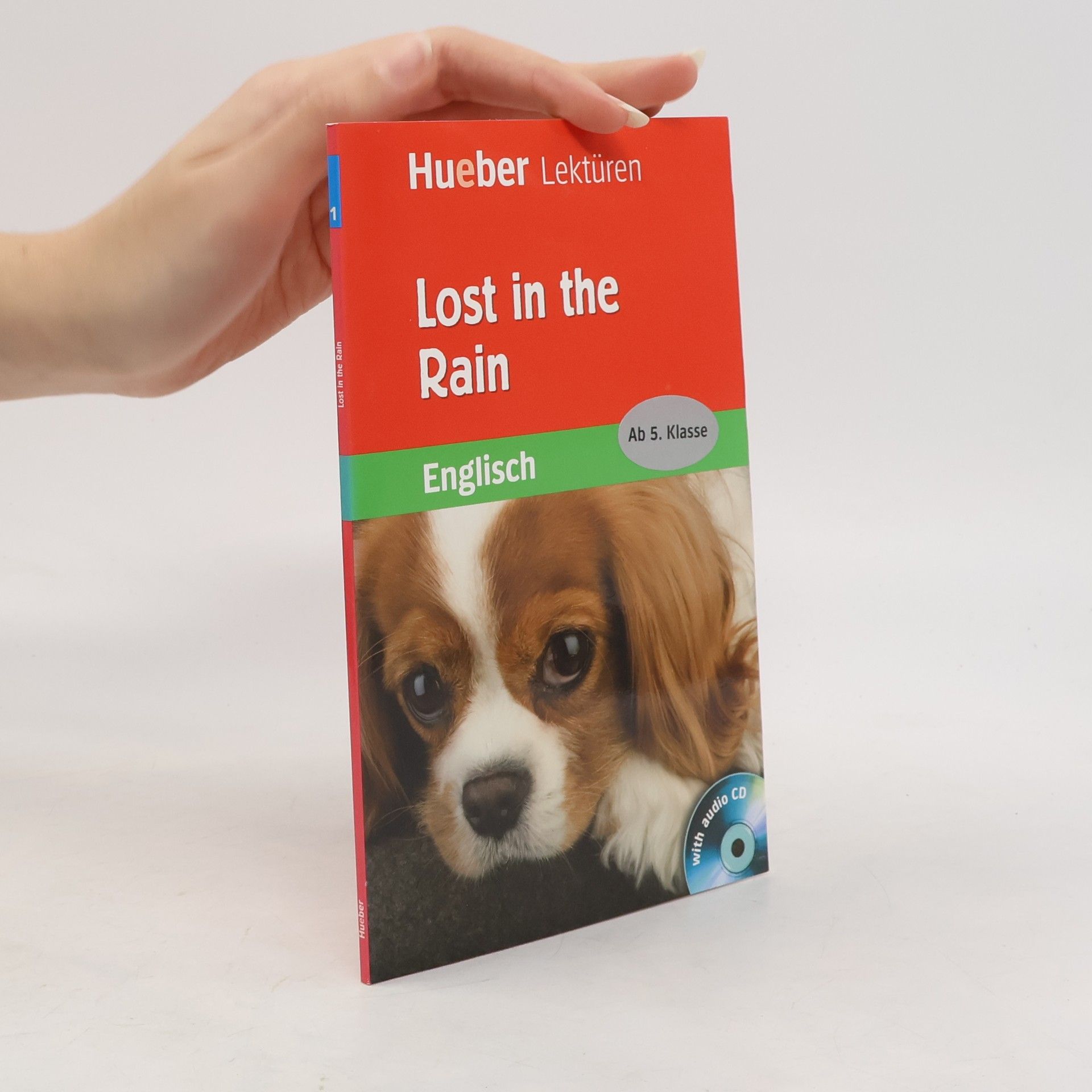 Auteurscollectief Lost in the rain