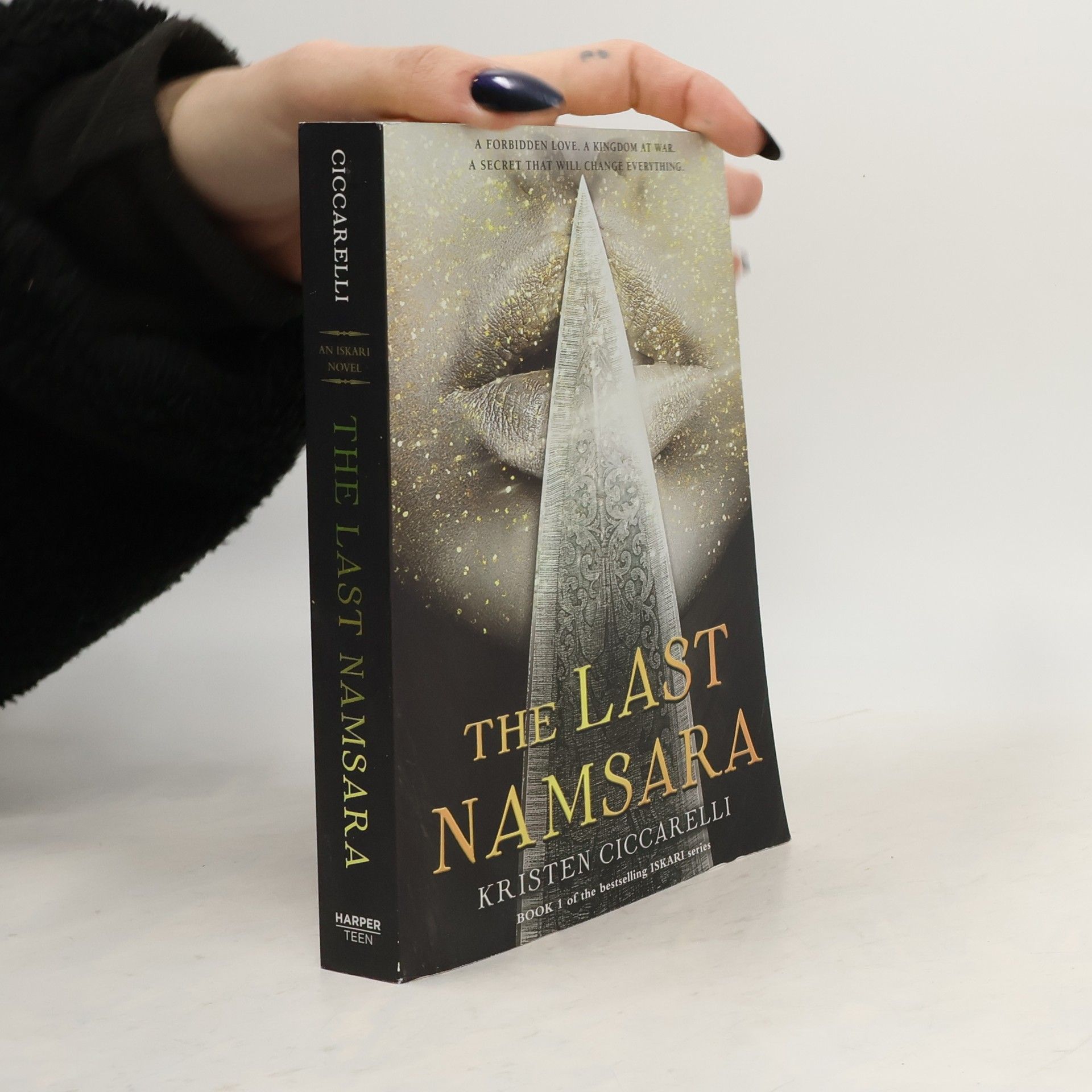 Kristen Ciccarelli The Last Namsara
