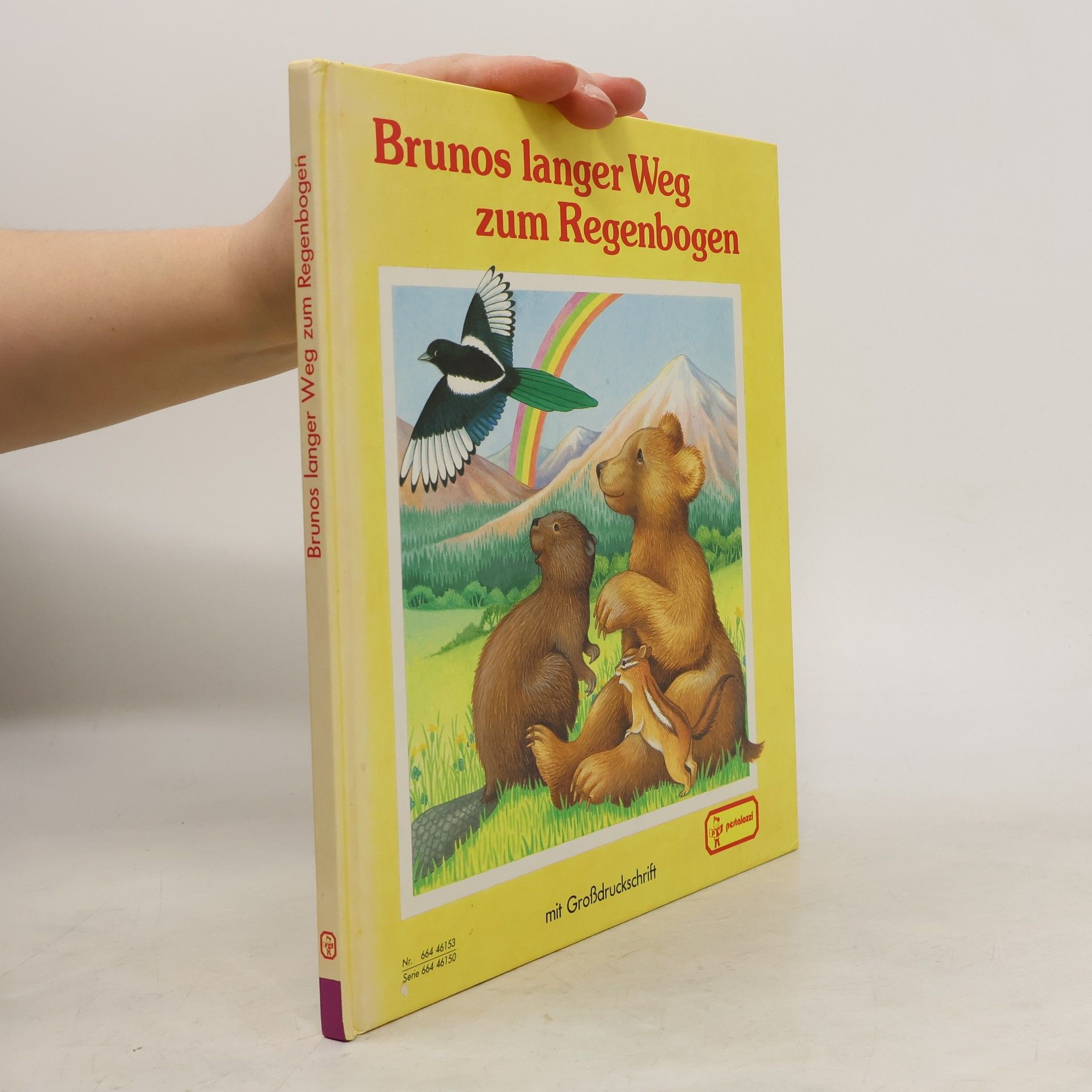 Autorenkollektiv Brunos langer Weg zum Regenbogen