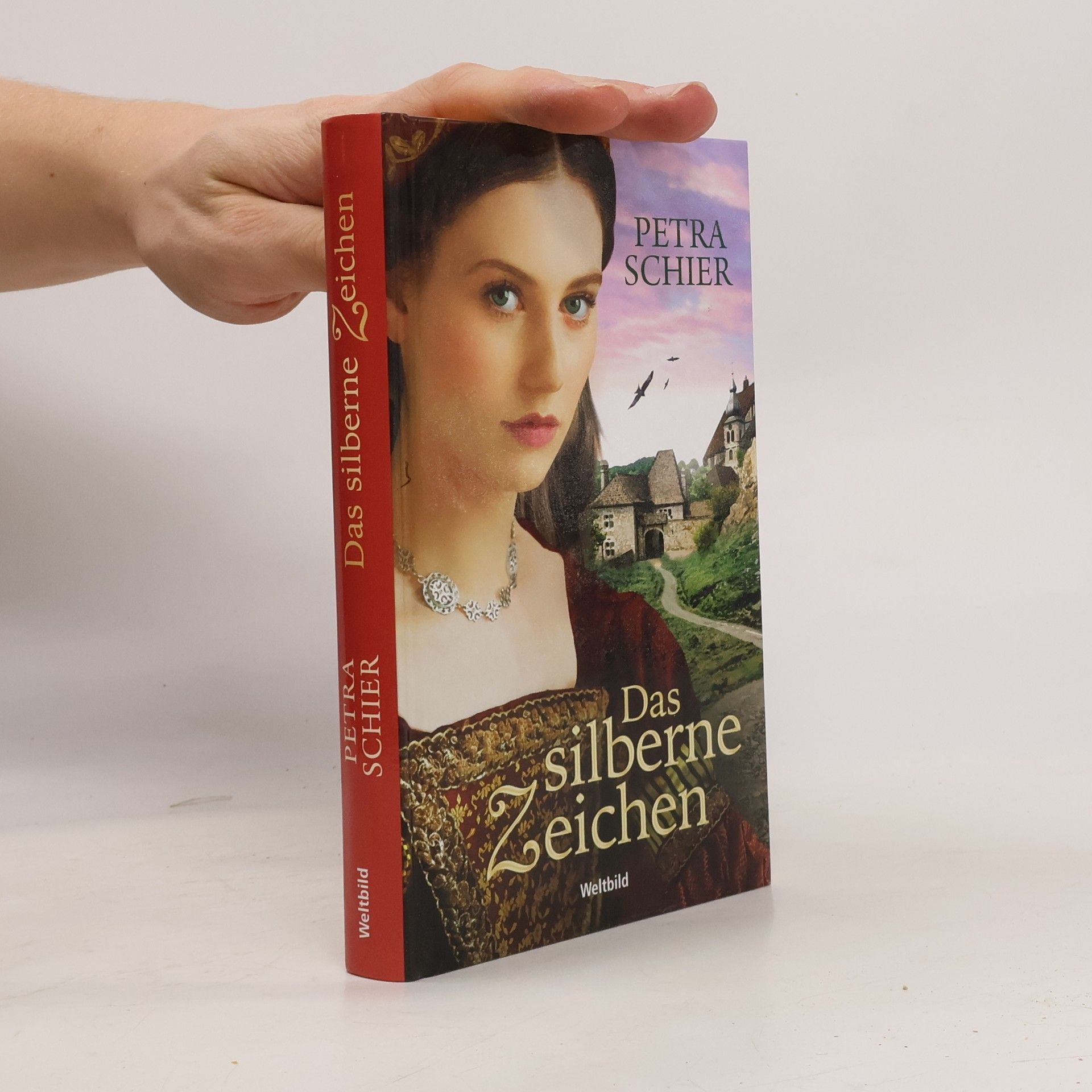 Petra Schier Das silberne Zeichen