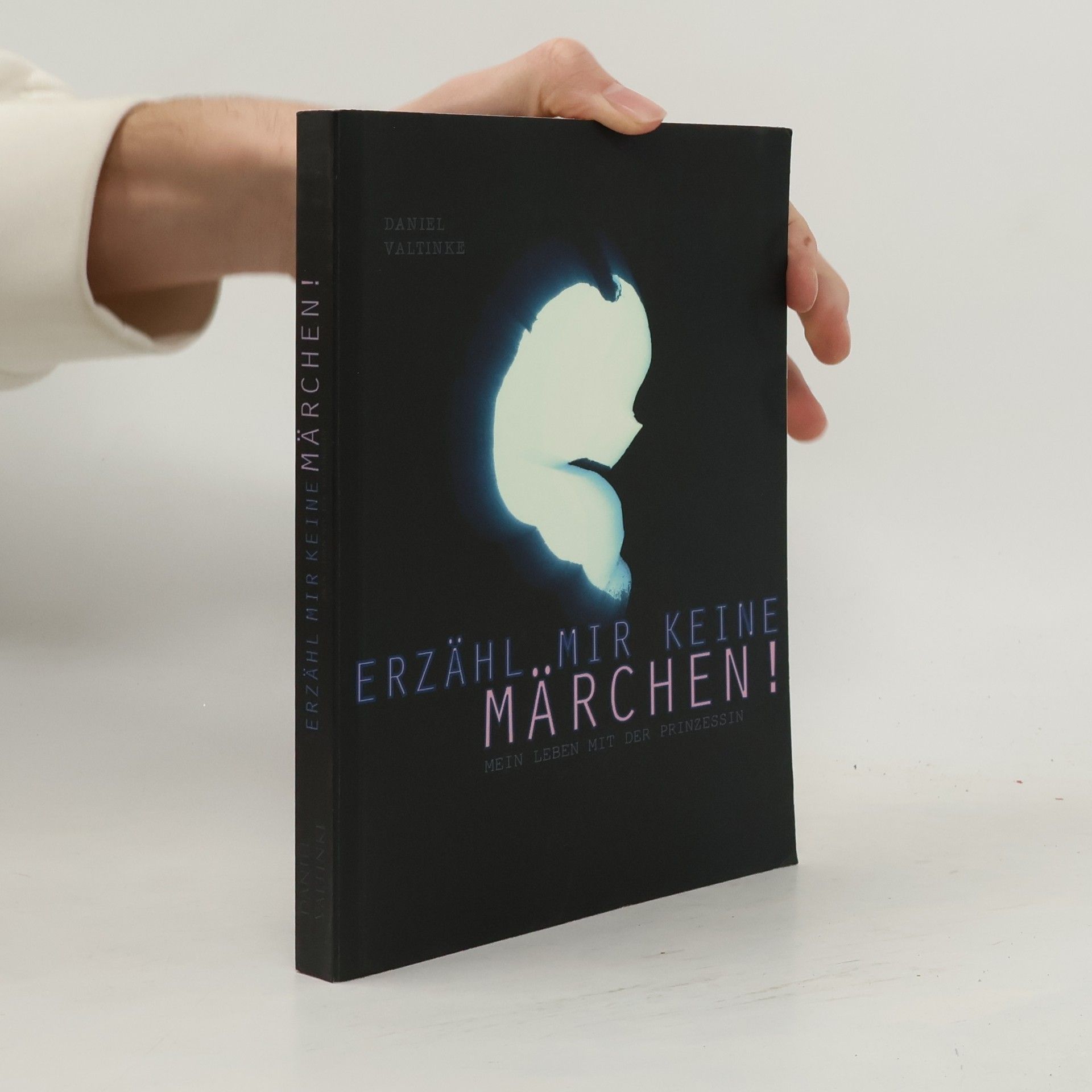 Daniel Valtinke Erzähl mir keine Märchen - Mein Leben mit der Prinzessin