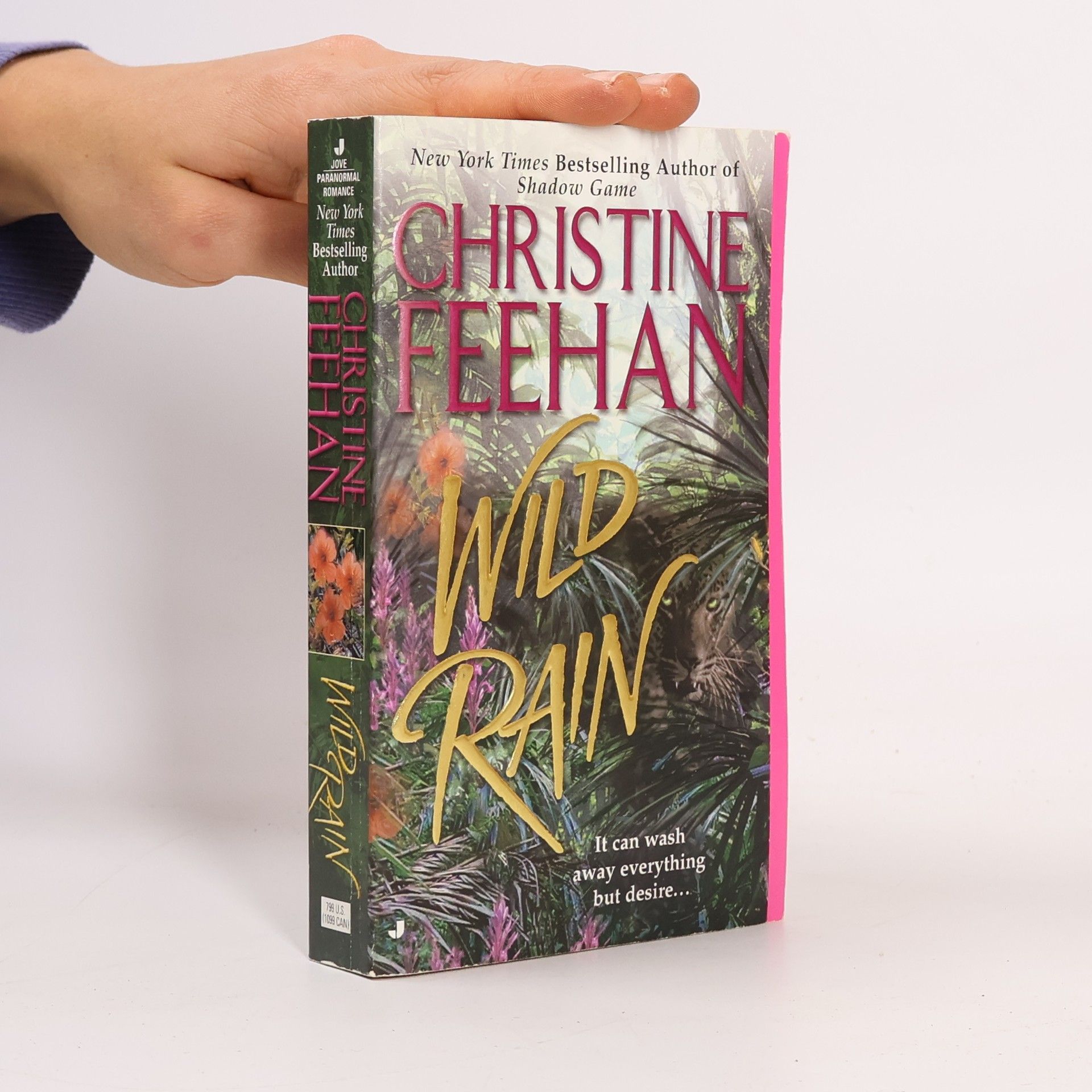 Christine Feehan Wild Rain