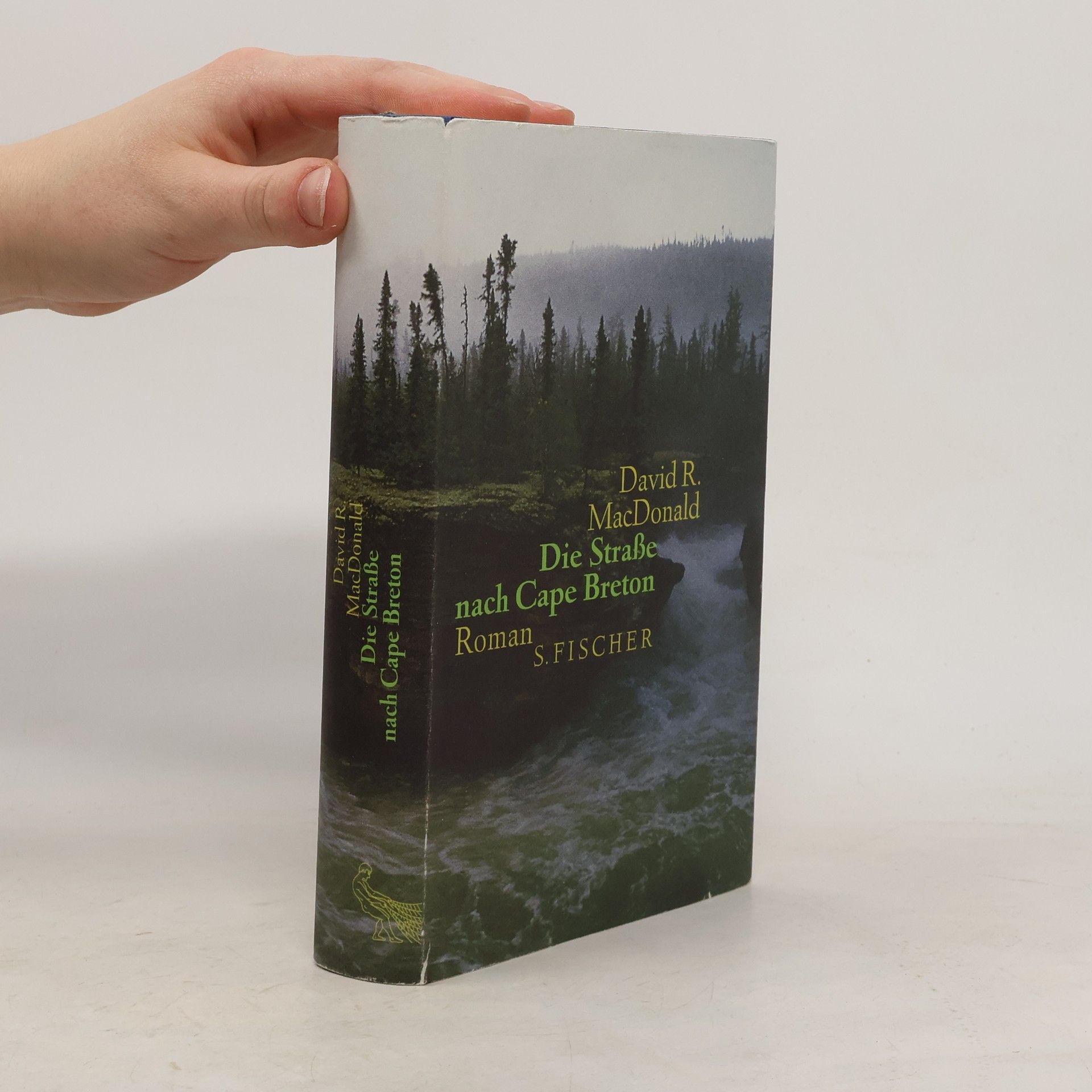 David R. MacDonald Die Straße nach Cape Breton