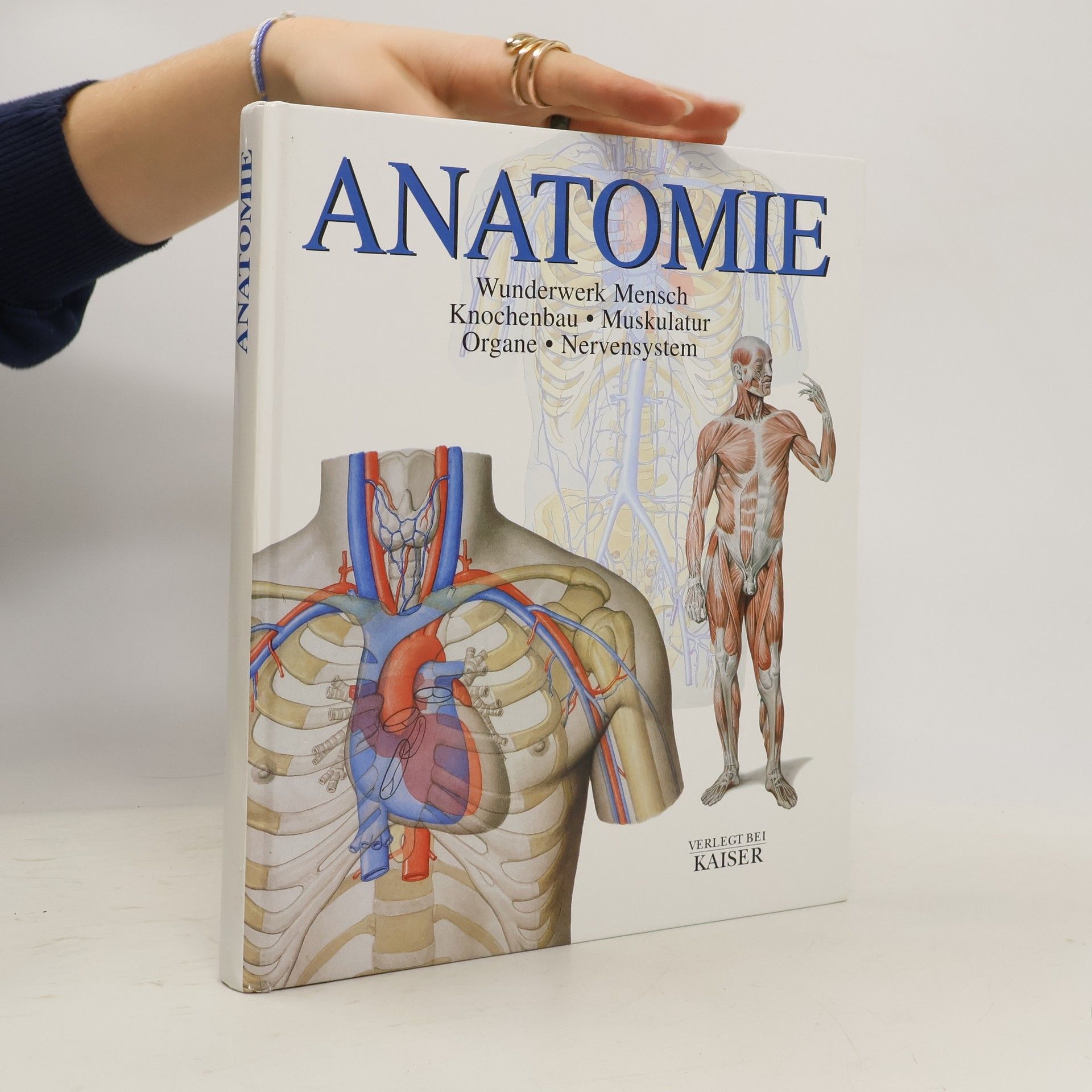 Carmen Schöninger Anatomie