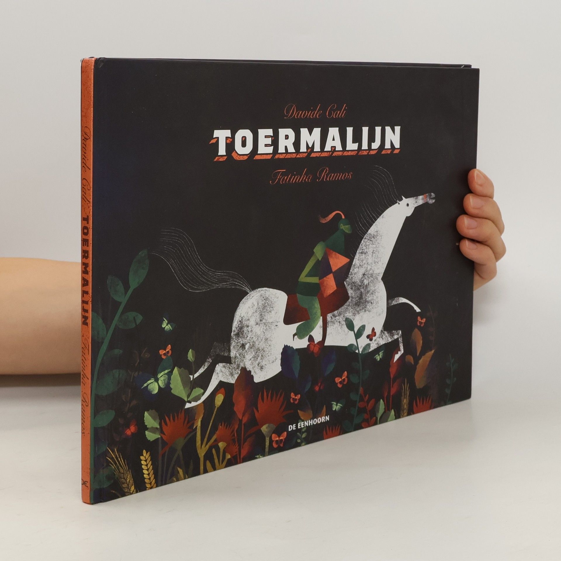 Davide Cali Toermalijn