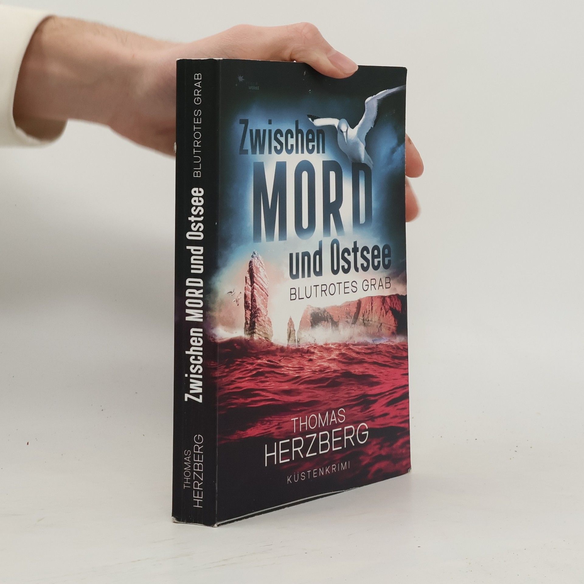 Blutrotes Grab (Zwischen Mord und Ostsee - Küstenkrimi 3)