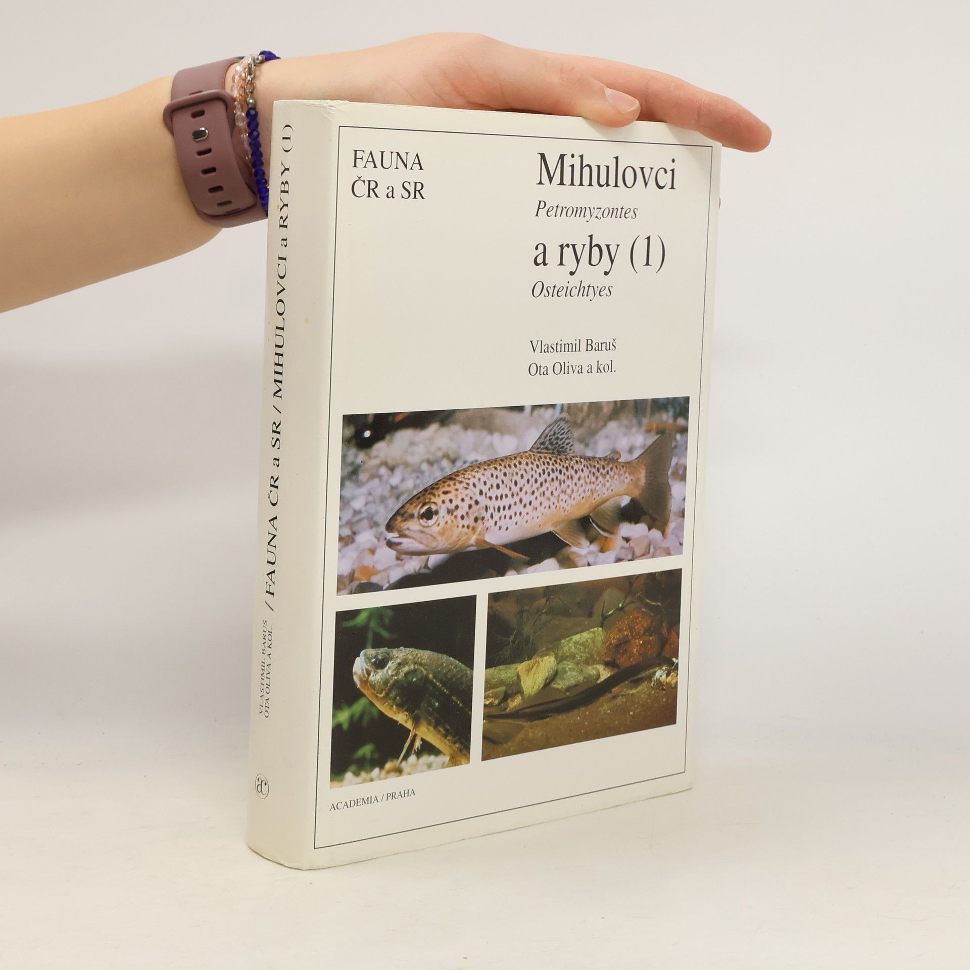 Collectif d'auteurs Mihulovci a ryby. 1. díl