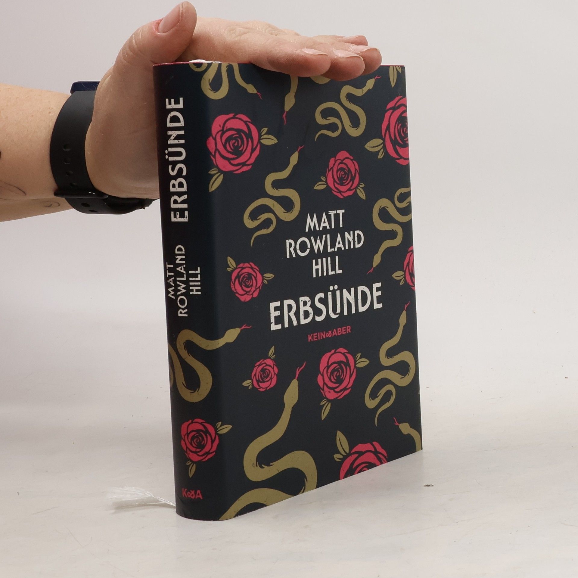 Matt Rowland Hill Erbsünde