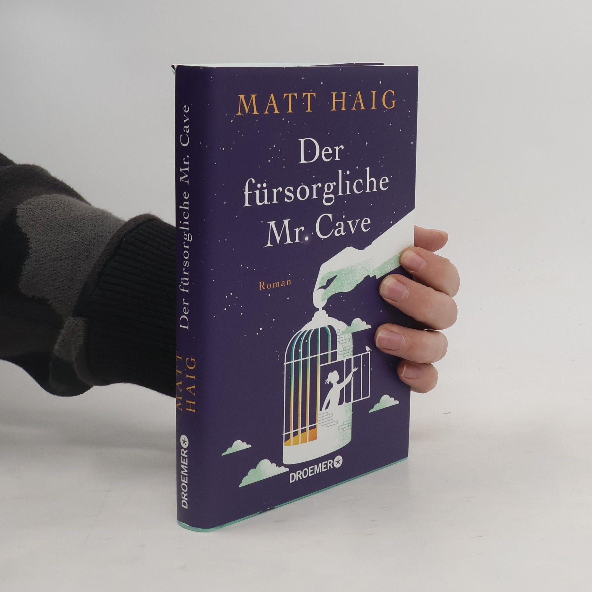 Matt Haig Der fürsorgliche Mr. Cave