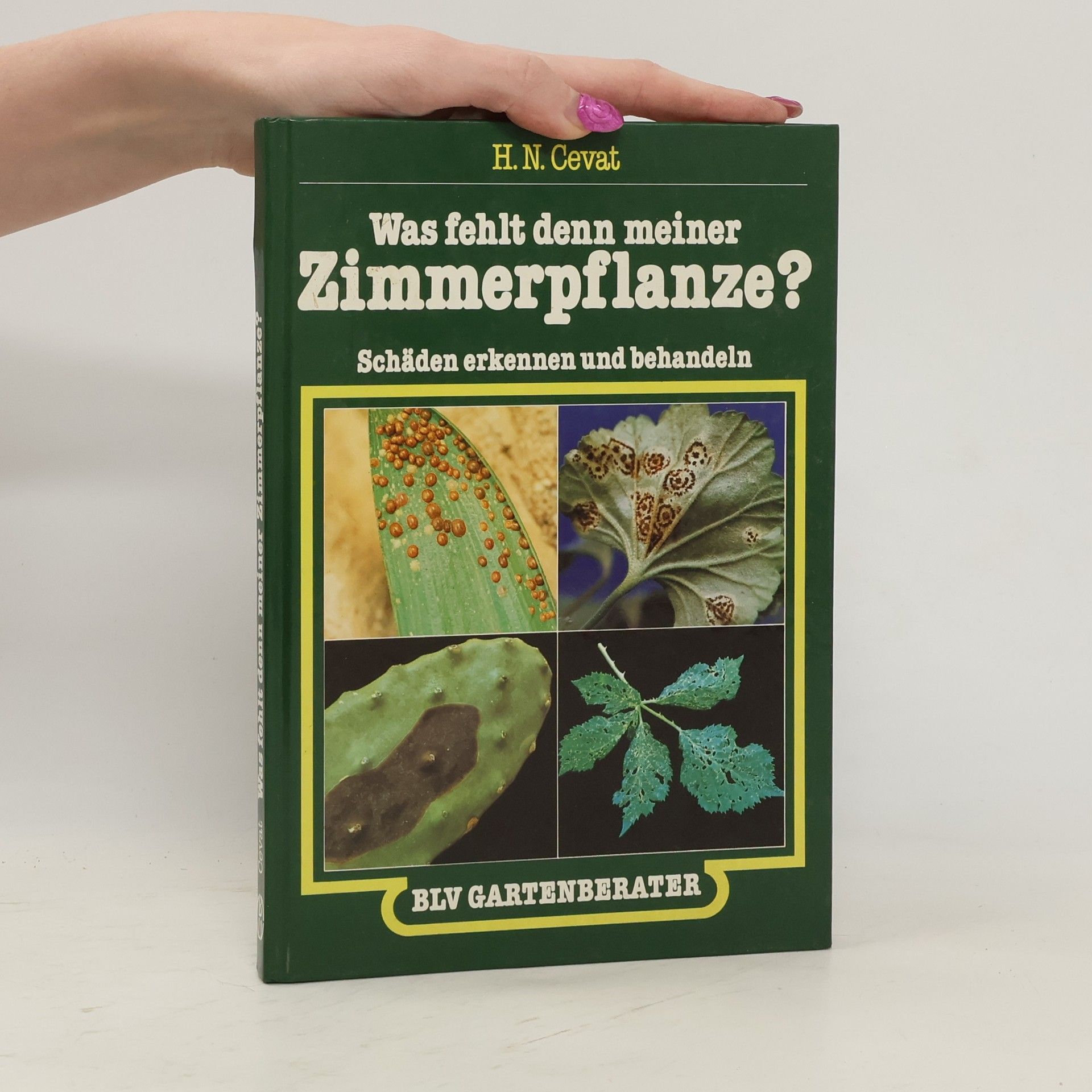 Was fehlt denn meiner Zimmerpflanze?