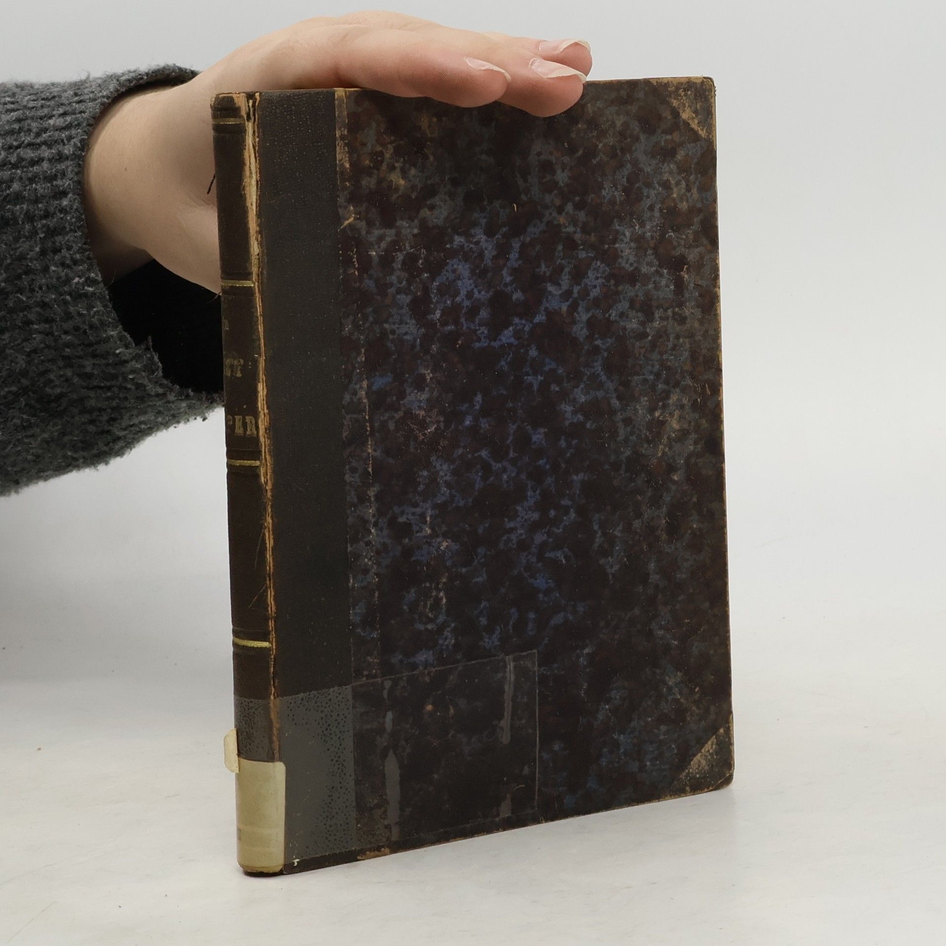 Geist und Körper: die Theorien über ihre gegenseitigen Beziehungen