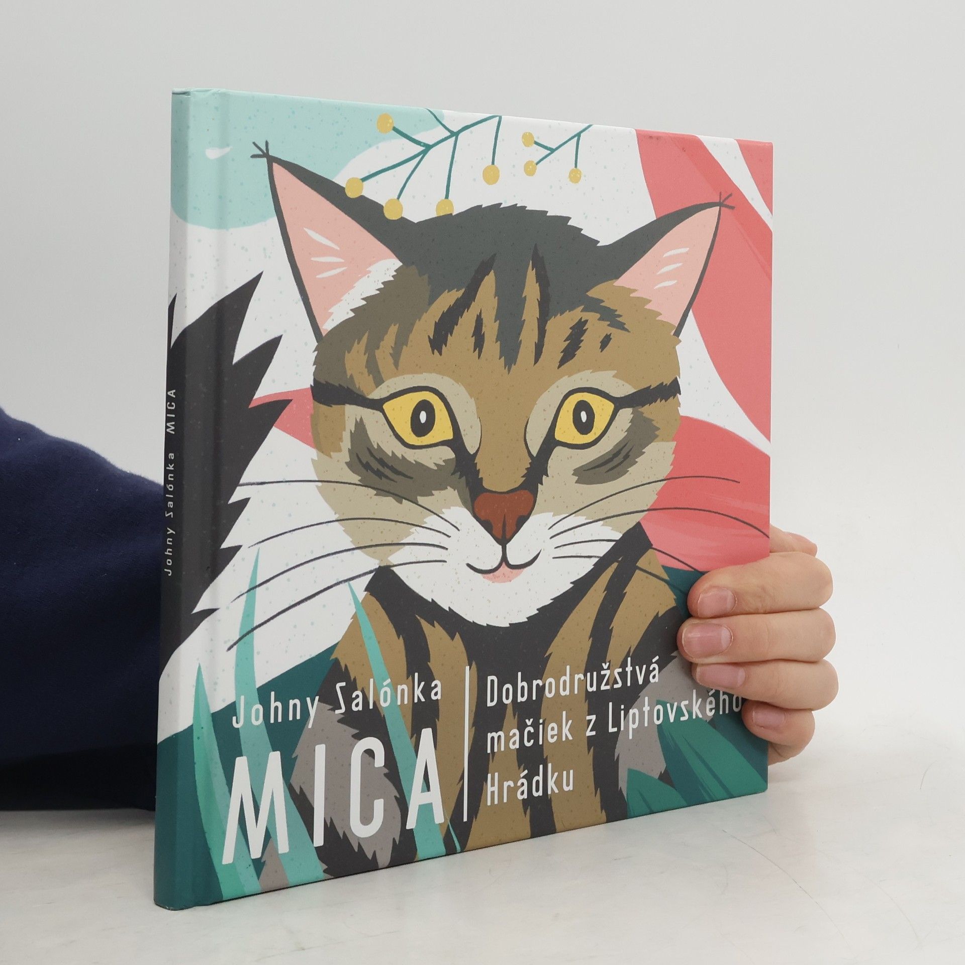 Johny Salónka Mica : Dobrodružstvá mačiek z Liptovského Hrádku