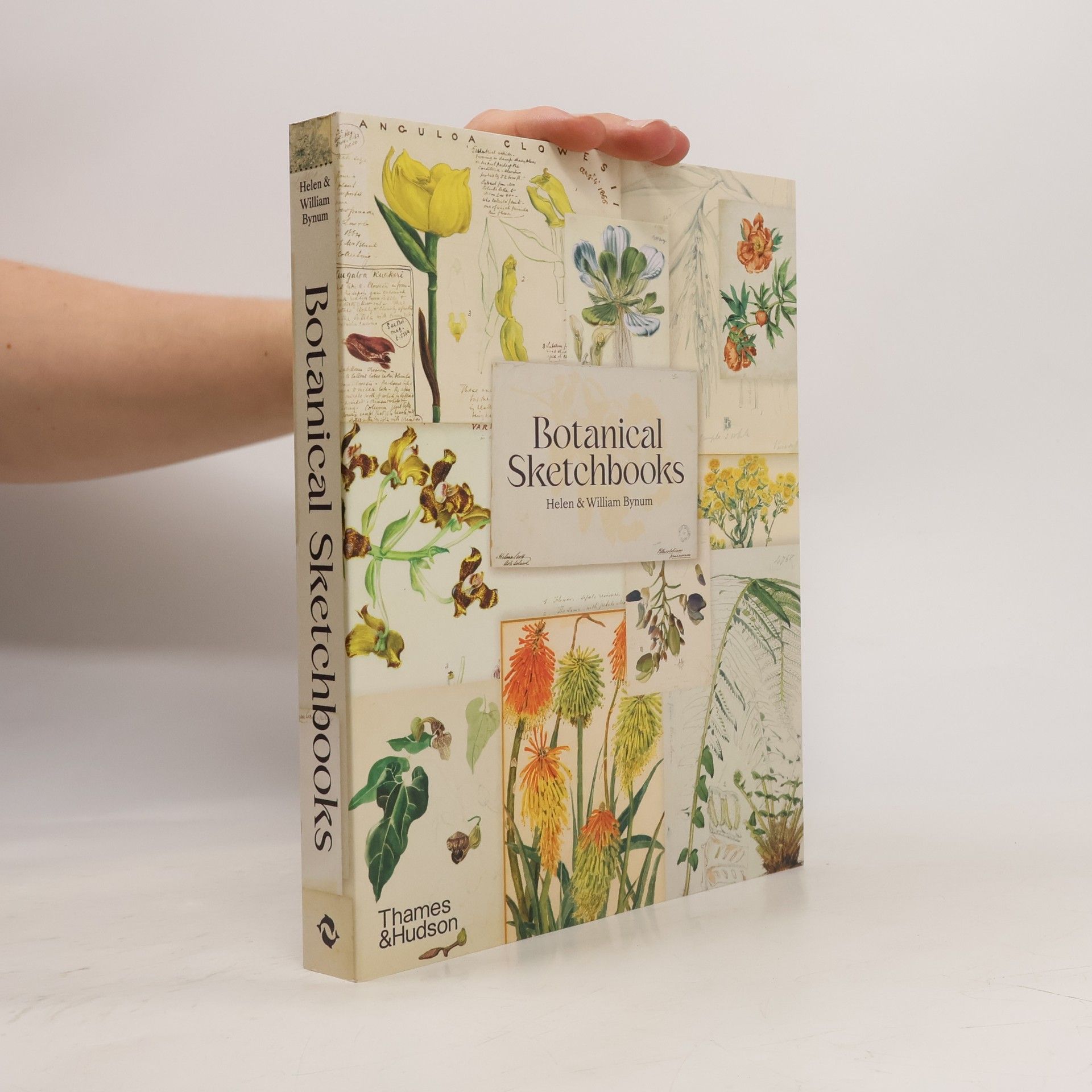 Helen Bynum Botanical Sketchbooks
