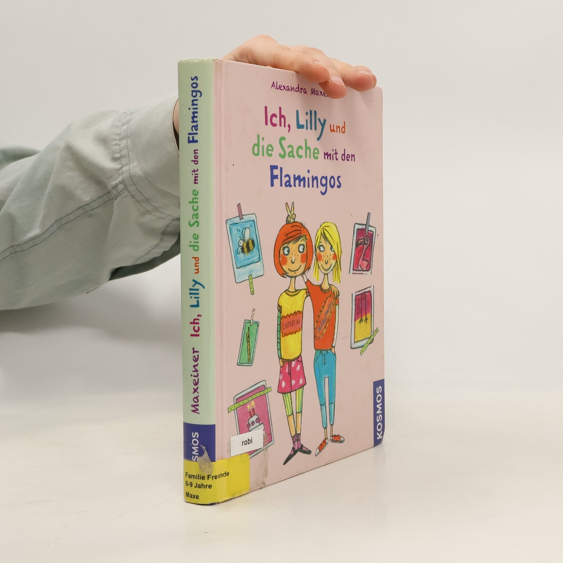 Alexandra Maxeiner Ich, Lilly und die Sache mit den Flamingos