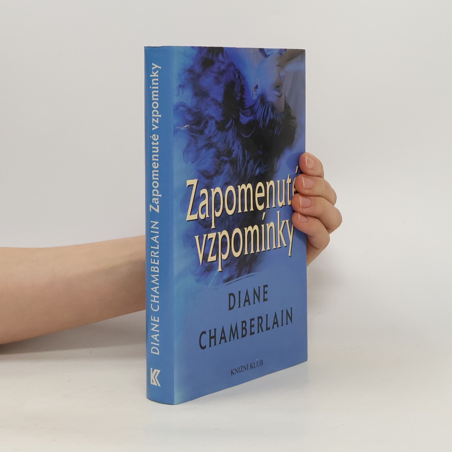 Diane Chamberlain Zapomenuté vzpomínky