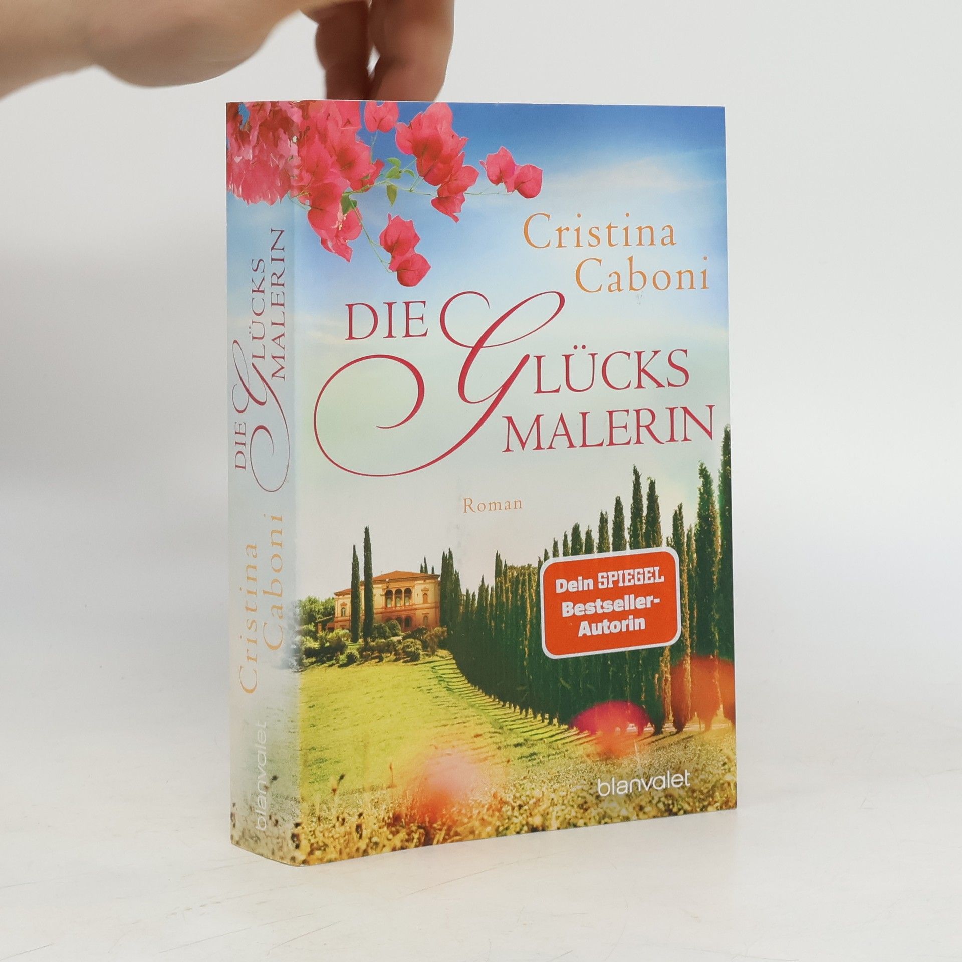 Cristina Caboni Die Glücksmalerin