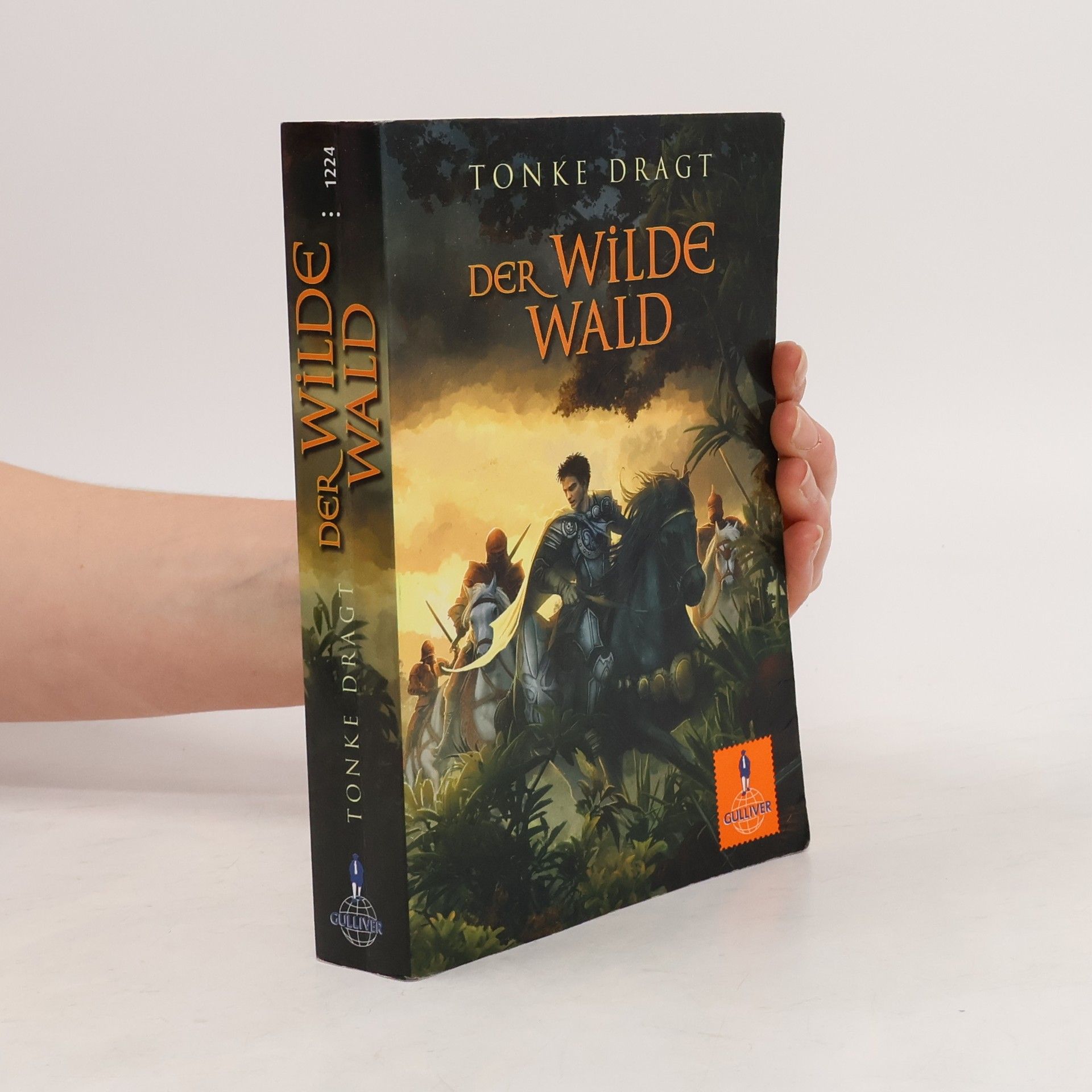 Tonke Dragt Der wilde Wald