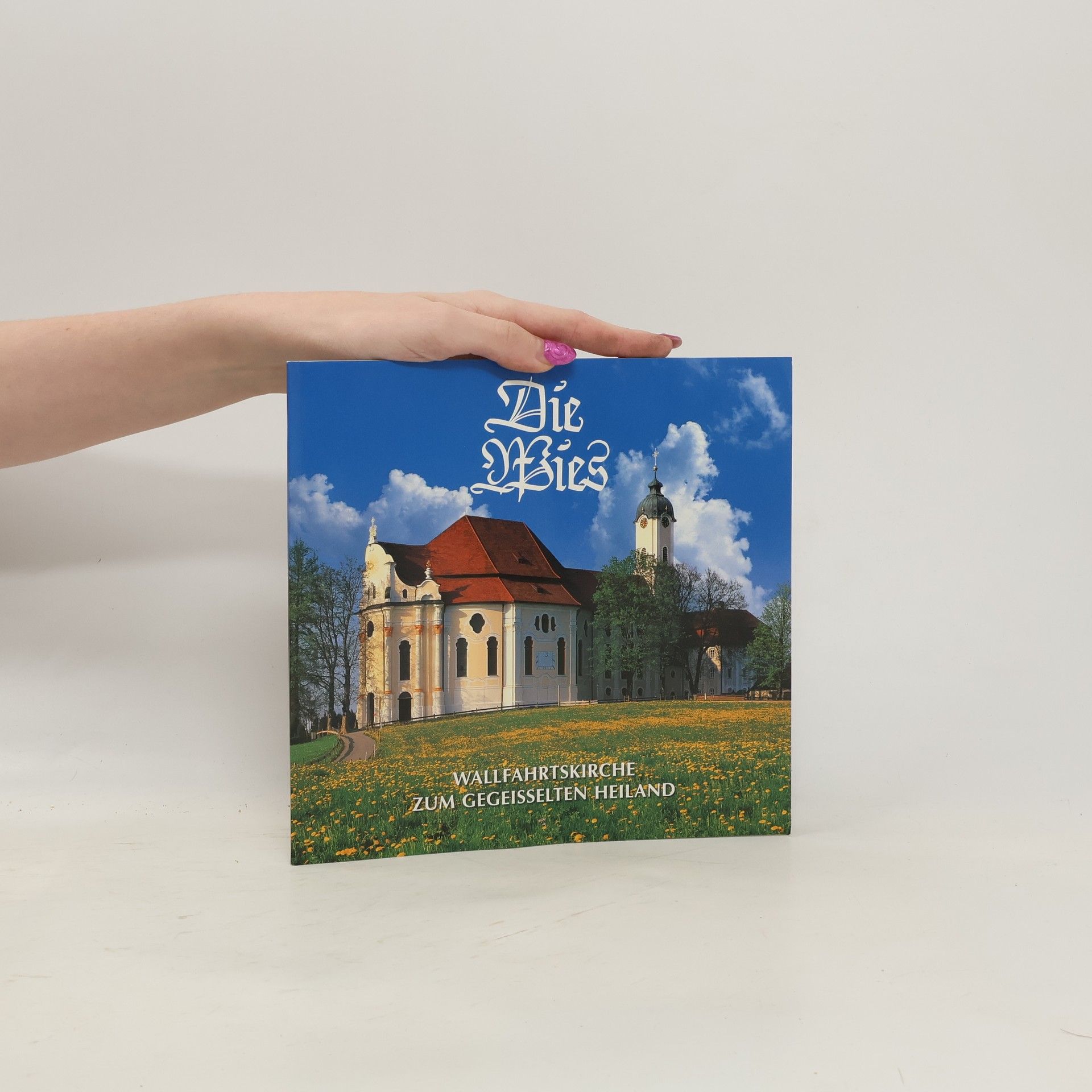 Kolektiv autorů Die Wies