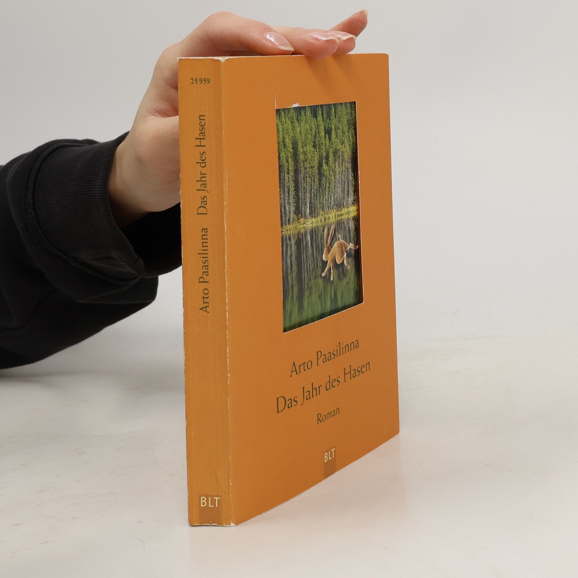Arto Paasilinna Das Jahr des Hasen