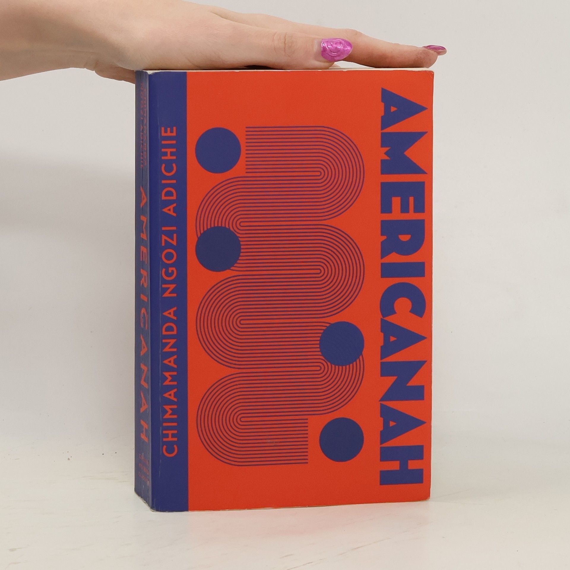 Chimamanda Ngozi Adichie Americanah