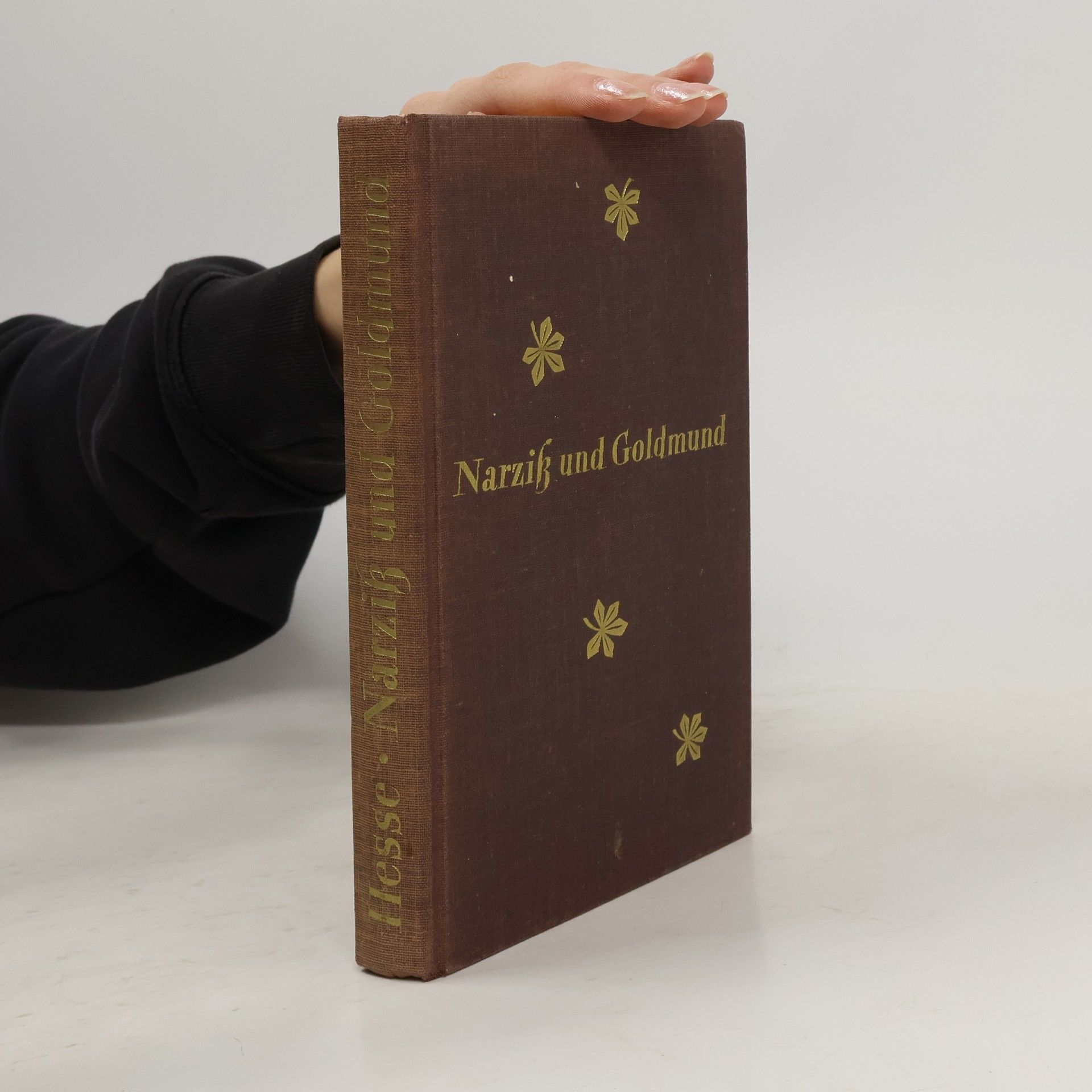 Hermann Hesse Narziß und Goldmund