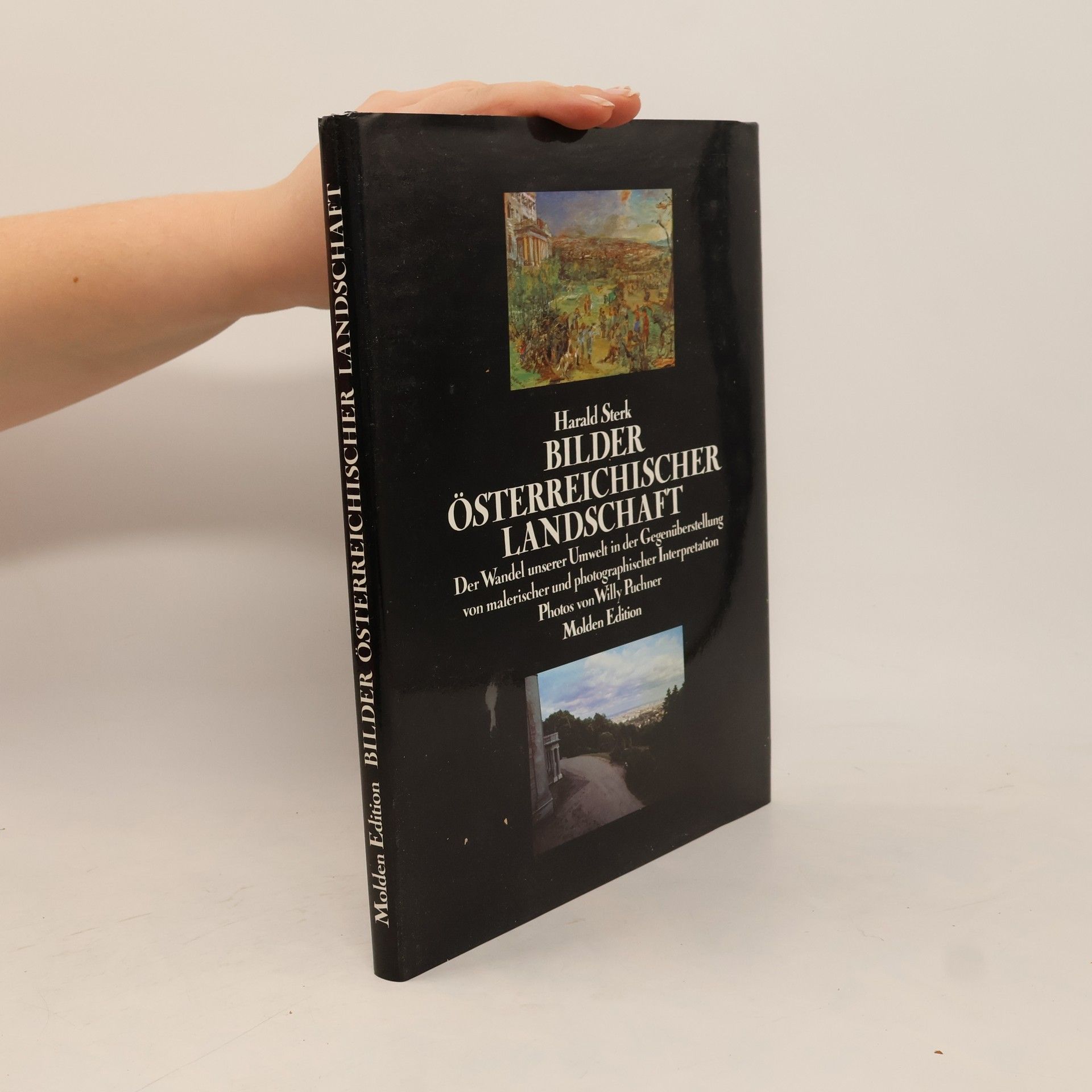 Willy Puchner Begegnungen im Erzgebirge. Bilder einer Landschaft