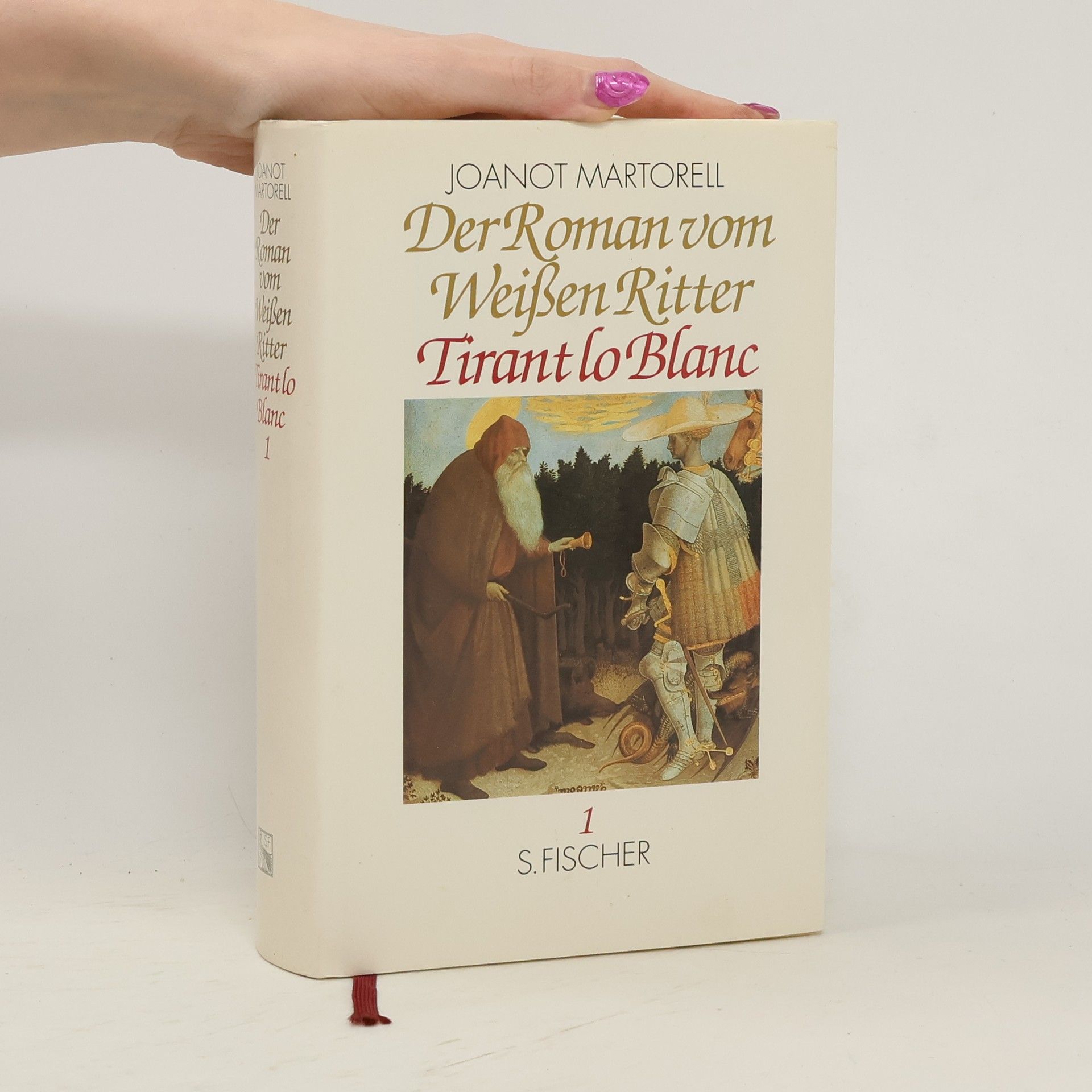 Der Roman vom weißen Ritter Tirant lo Blanc. Bd.1. Erstes und Zweites Buch. Nachw. v. Mario Vargas Llosa