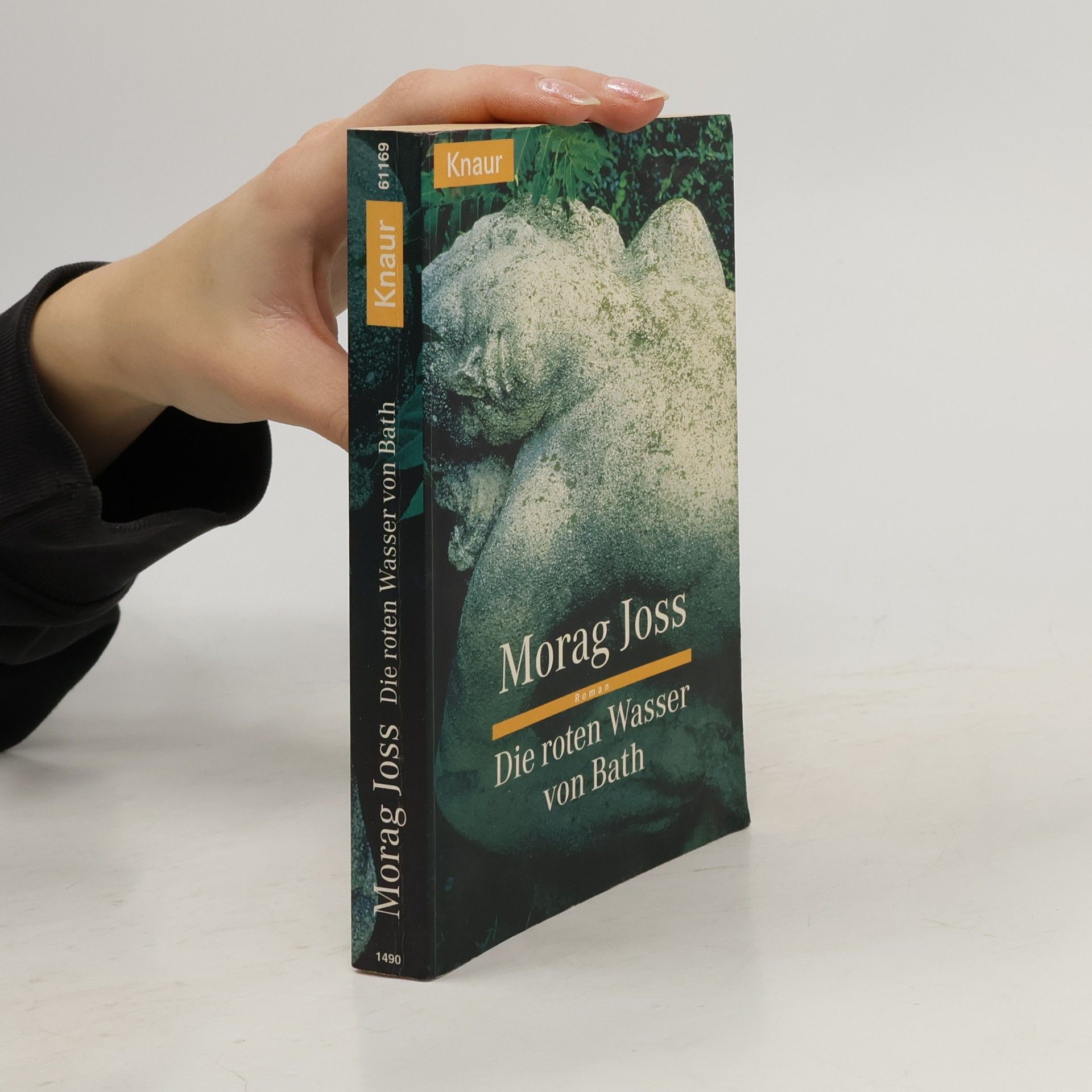 Morag Joss Die roten Wasser von Bath