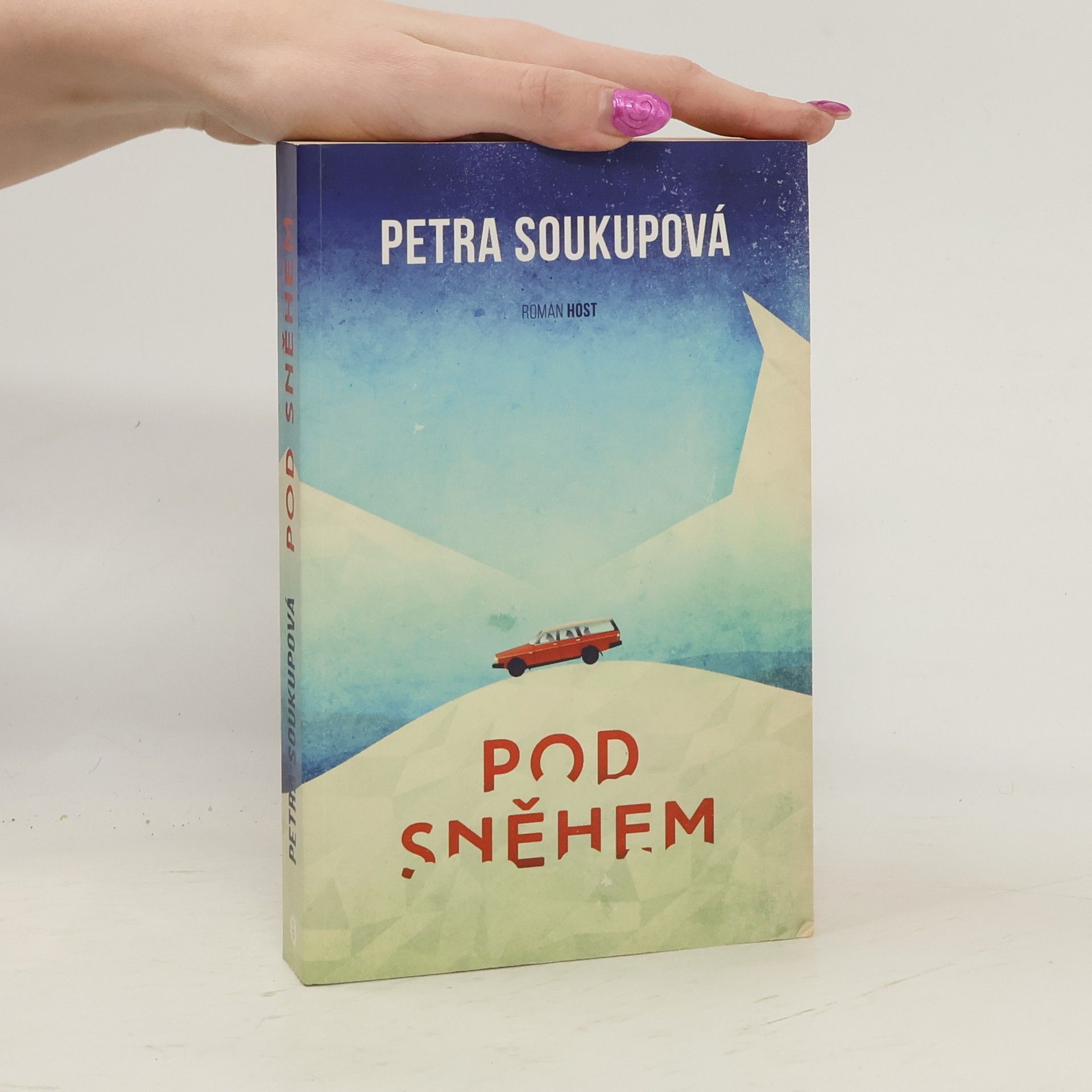 Petra Soukupová Pod sněhem