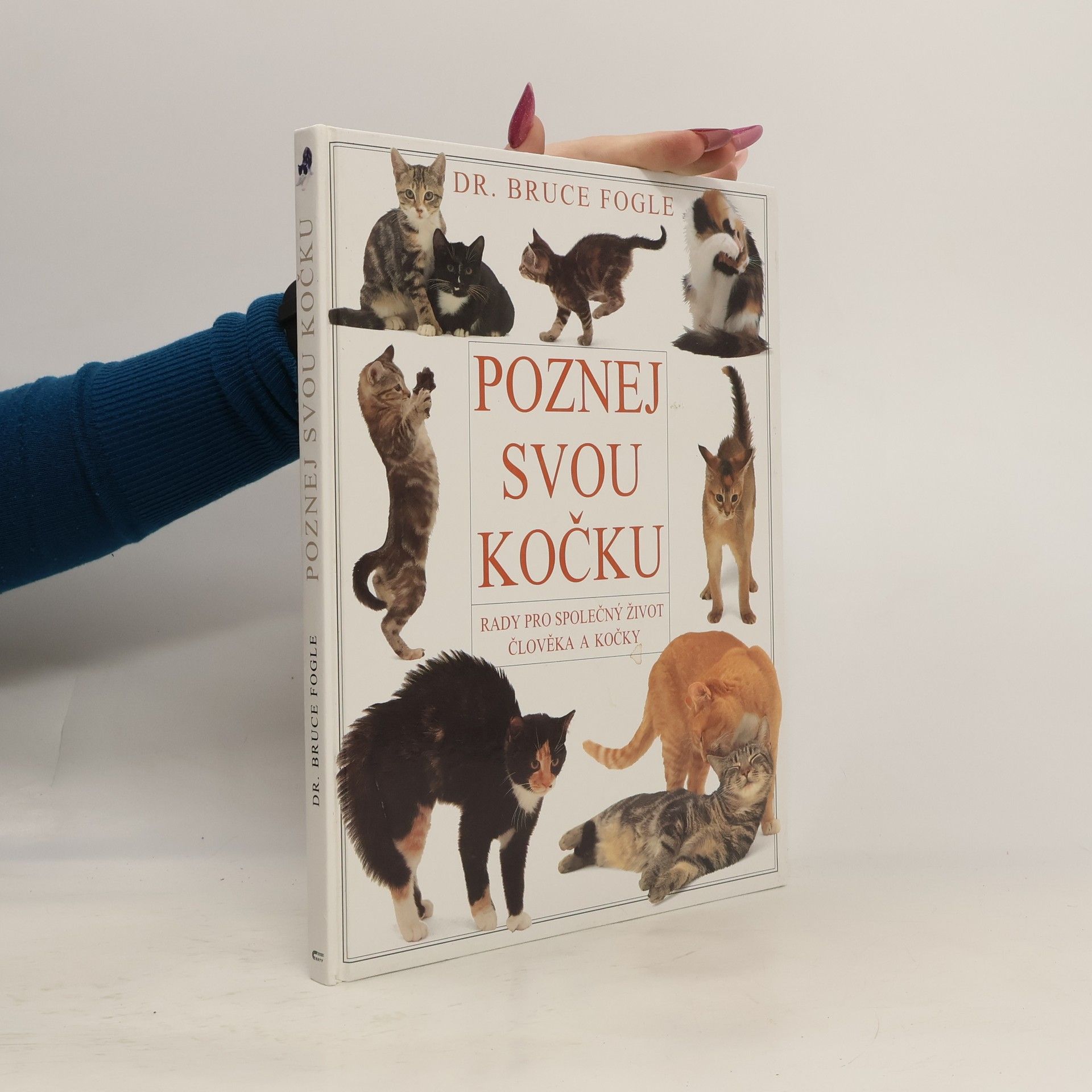 Poznej svou kočku. Rady pro společný život člověka a kočky